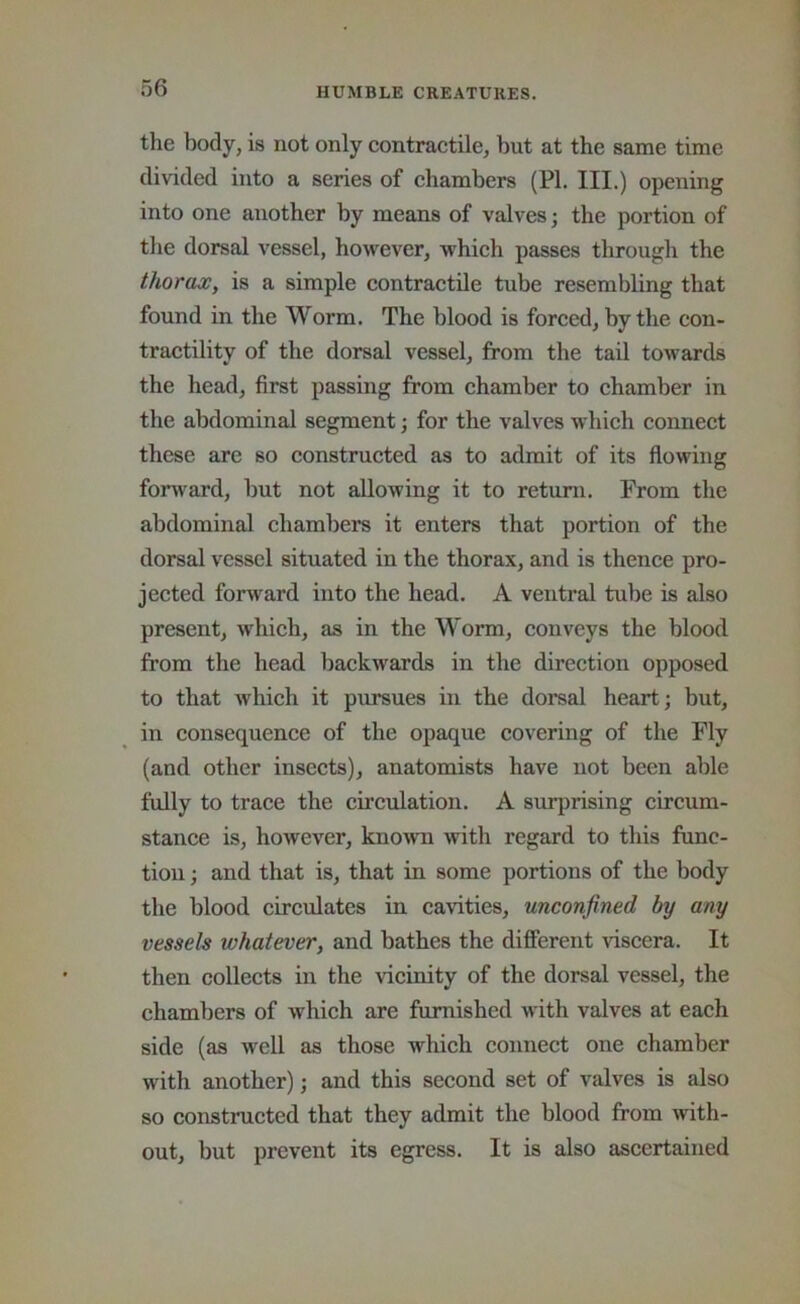 the body, is not only contractile, but at the same time divided into a series of chambers (PL III.) opening into one another by means of valves; the portion of the dorsal vessel, however, which passes through the thorax, is a simple contractile tube resembling that found in the Worm. The blood is forced, by the con- tractility of the dorsal vessel, from the tail towards the head, first passing from chamber to chamber in the abdominal segment; for the valves which connect these are so constructed as to admit of its flowing forward, but not allowing it to return. From the abdominal chambers it enters that portion of the dorsal vessel situated in the thorax, and is thence pro- jected forward into the head. A ventral tube is also present, which, as in the Worm, conveys the blood from the head backwards in the direction opposed to that which it pursues in the dorsal heart; but, in consequence of the opaque covering of the Fly (and other insects), anatomists have not been able fully to trace the circulation. A surprising circum- stance is, however, kno^vn with regard to this func- tion ; and that is, that in some portions of the body the blood circulates in cavities, unconfined by any vessels whatever, and bathes the different viscera. It then collects in the vicinity of the dorsal vessel, the chambers of which are furnished with valves at each side (as well as those which connect one chamber with another); and this second set of valves is also so constructed that they admit the blood from -with- out, but prevent its egress. It is also ascertained