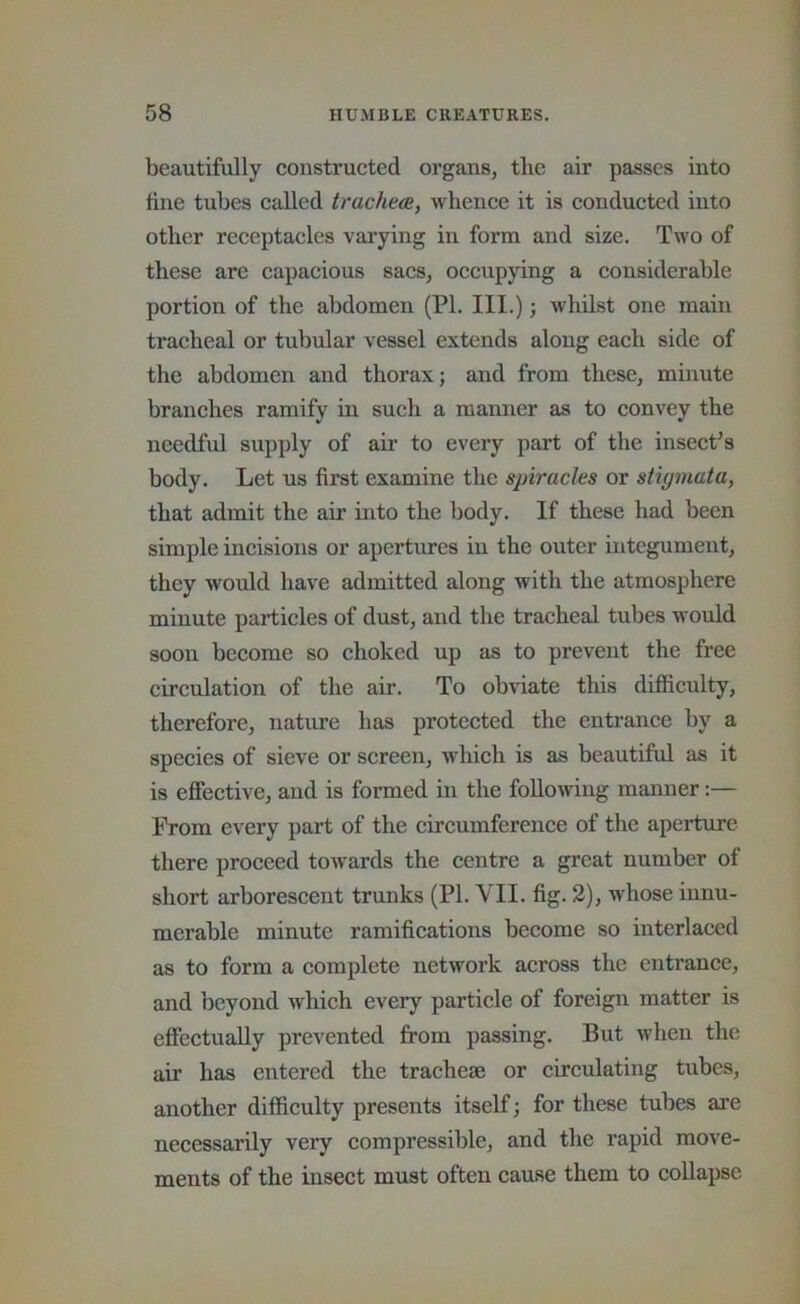 beautifully constructed organs, the air passes into tine tubes called tracheee, whence it is conducted into other receptacles varying in form and size. Two of these are capacious sacs, occupying a considerable portion of the abdomen (PL III.); whilst one main tracheal or tubular vessel extends along each side of the abdomen and thorax; and from these, minute branches ramify in such a manner as to convey the needful supply of air to every part of the insecPs body. Let us first examine the spiracles or stigmata, that admit the air into the body. If these had been simple incisions or apertures in the outer integument, they would have admitted along with the atmosphere minute particles of dust, and the tracheal tubes would soon become so choked up as to prevent the free circulation of the air. To obviate this difficulty, therefore, nature has protected the entrance by a species of sieve or screen, which is as beautiful as it is effective, and is formed in the following manner:— From every part of the circumference of the apei-ture there proceed towards the centre a great number of short arborescent trunks (PI. VII. fig. 2), whose innu- merable minute ramifications become so interlaced as to form a complete network across the entrance, and beyond which every particle of foreign matter is effectually prevented from passing. But when the air has entered the tracheae or circulating tubes, another difficulty presents itself; for these tubes are necessarily very compressible, and the rapid move- ments of the insect must often cause them to collapse