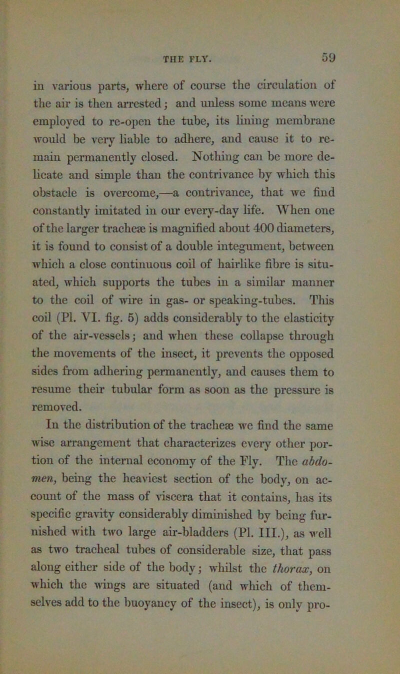 in various parts, where of course tlie circulation of the air is tlien aiTCsted; and unless some means were employed to re-open the tube, its lining membrane would be very liable to adhere, and cause it to re- main permanently closed. Nothing can be more de- licate and simple than the contrivance by which this obstacle is overcome,—a contrivance, that we find constantly imitated in our every-day life. When one of the larger tracheje is magnified about 400 diameters, it is found to consist of a double integument, between which a close continuous coil of hairlike fibre is situ- ated, which supports the tubes in a similar manner to the coil of wire in gas- or speaking-tubes. This coil (PI. VI. fig. 6) adds considerably to the elasticity of the air-vessels; and when these collapse tlu’ough the movements of the insect, it prevents the opposed sides from adhering permanently, and causes them to resume their tubular form as soon as the pressm’e is removed. In the distribution of the tracheae we find the same wise arrangement that characterizes every other por- tion of the internal economy of the Fly. The abdo- men, being the heaviest section of the body, on ac- count of the mass of viscera that it contains, has its specific gravity considerably diminished by being fur- nished with two large air-bladders (PI. III.), as v'ell as two tracheal tubes of considerable size, that pass along either side of the body; whilst the thorax, on which the wings are situated (and which of them- selves add to the buoyancy of the insect), is only pro-