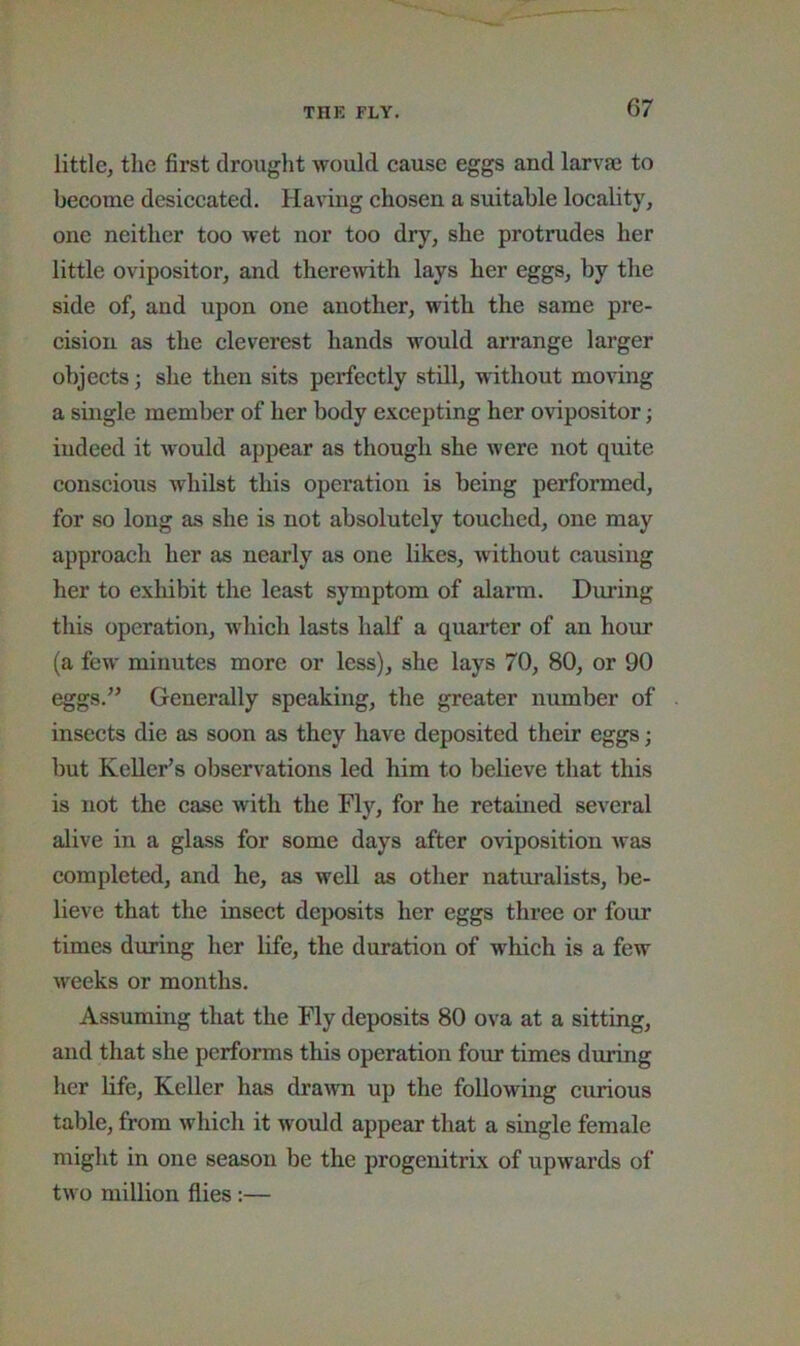 little, the first drought would eause eggs and larvae to become desiccated. Having chosen a suitable locality, one neither too wet nor too dry, she protrudes her little ovipositor, and therewith lays her eggs, by the side of, and upon one another, with the same pre- cision as the cleverest hands would arrange larger objects; she then sits perfectly still, without moHng a single member of her body excepting her ovipositor; indeed it would appear as though she were not quite conscious whilst this operation is being performed, for so long as she is not absolutely touched, one may approach her as nearly as one likes, Avithout causing her to exhibit the least symptom of alann. During this operation, which lasts half a quarter of an hour (a few minutes more or less), she lays 70, 80, or 90 eggs.” Generally speaking, the greater number of insects die as soon as they have deposited their eggs; but Keller’s observations led him to believe that this is not the case with the Fly, for he retained several alive in a glass for some days after oviposition Avas completed, and he, as Avell as other naturalists, be- lieve that the insect deposits her eggs three or four times during her life, the duration of which is a few Aveeks or months. Assuming that the Fly deposits 80 ova at a sitting, and that she performs this operation four times during her life, Keller has draAvn up the following curious table, from Avhich it would appear that a single female might in one season be the progenitrix of upwards of tAvo million flies;—