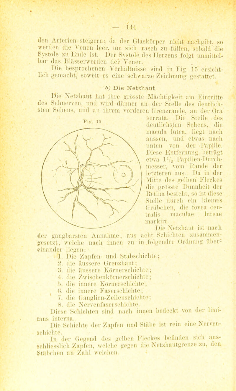 «Ion Artorion steigern; da der Glaskörper nicht nachgiht, so werden die Venen leer, um sich rasch zu füllen, sobald die ISystole y,u Ende ist. Der Systole des Herzens folgt unmittel- bar das Blässerwerden der Venen. Die besprochenen Verhältnisse sind in Fig. 15' ersicht- lich gemacht, soweit es eine schwarze Zeichnung gestattet. i‘) Die Netzhaut. Die Netzhaut hat ihre grösste Mächtigkeit am Eintritte des Sehnerven, und wird dünner an der Stelle des deutlich- sten Sehens, und an ihrem vorderen Grenzrande, au der Ora serrata. Die Stelle des deutlichsten Sehens, die macula lutea, liegt nach aussen, und etwas nach unten von der -Papille. Diese Entfernung beträgt etwa 1 */2 Papillen-Durch- messer, vom Bande der letzteren aus. Da in der Mitte des gelben Fleckes die grösste Dünnheit der B'etina besteht, so ist diese Stelle durch ein kleines Grübchen, die fovea cen- tralis maculae luteae markirt. Die Netzhaut ist nach der gangbarsten Annahme, aus acht Schichten zusammen- gesetzt, welche nach innen zu in folgender Ordnung über- einander liegen: 1. Die Zapfen- und Stabschichte; 2. die äussere Grepzhaut; 15. die äussere Körnerschichte; 4. die Zwischenkörnerschichte; 5. die innere Körnerschichte; <>. die innere Faserschichte; 7. die Ganglien-Zellenschichte; 8. die Nervenfaserschichte. Diese Schichten sind nach innen bedeckt von der limi- fans interna. Die Schichte der Zapfen und Stäbe ist rein eine Nerven- schichte. In der Gegend des gellten Fleckes befinden sich aus- schliesslich Zapfen, welche gegen die Netzhautgrenze zu, den Stübchen an Zahl weichen. Fig. 15