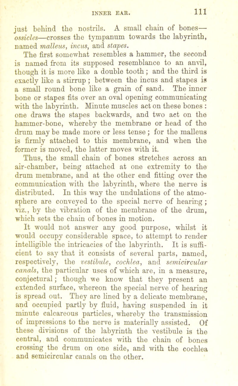 INNER EAR. just behind the nostrils. A small chain of bones— ossicles—crosses the tympanum towards the labyrinth, named malleus, incus, and stapes. The first somewhat resembles a hammer, the second is named from its supposed resemblance to an anvil, though it is more like a double tooth; and the third is exactly like a stirrup; between the incus and stapes is a small round bone like a grain of sand. The inner bone or stapes fits over an oval opening communicating with the labyrinth. Minute muscles act on these bones : one draws the stapes backwards, and two act on the hammer-bone, whereby the membrane or head of the drum may be made more or less tense; for the malleus is firmly attached to this membrane, and wdien the former is moved, the latter moves with it. Thus, the small chain of bones stretches across an air-chamber, being attached at one extremity to the drum membrane, and at the other end fitting over the communication with the labyrinth, where the nerve is distributed. In this way the undulations of the atmo- sphere are conveyed to the special nerve of hearing ; viz., by the vibration of the membrane of the drum, which sets the chain of bones in motion. It would not answer any good purpose, whilst it would occupy considerable space, to attempt to render intelligible the intricacies of the labyrinth. It is suffi- cient to say that it consists of several parts, named, respectively, the vestibule, cochlea, and semicircular canals, the particular uses of which are, in a measure, conjectural; though we know that they present an extended surface, whereon the special nerve of hearing is spread out. They are lined by a delicate membrane, and occupied partly by fluid, having suspended in it minute calcareous particles, whereby the transmission of impressions to the nerve is materially assisted. Of these divisions of the labyrinth the vestibule is the central, and communicates with the chain of bones crossing the drum on ono side, and with the cochlea and semicircular canals on the other.