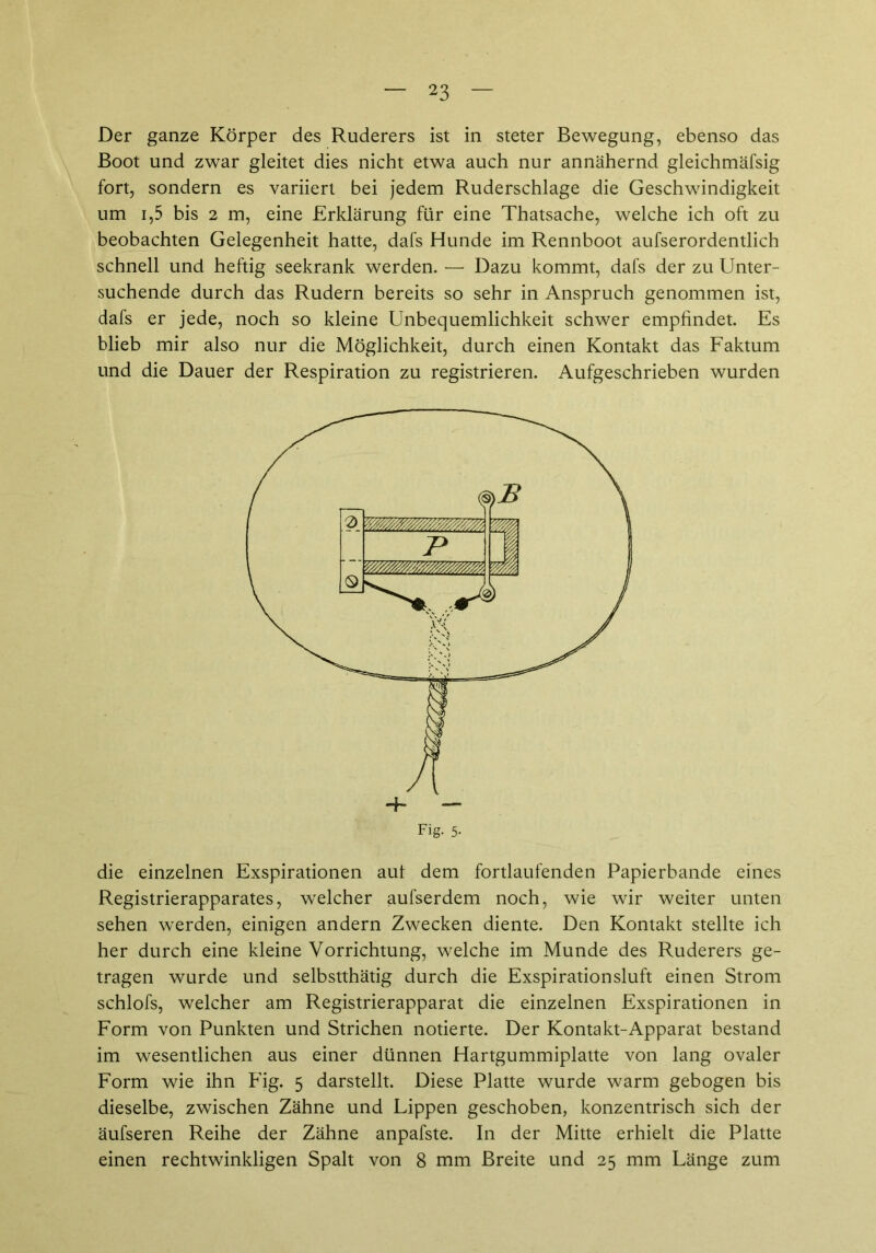 Der ganze Körper des Ruderers ist in steter Bewegung, ebenso das Boot und zwar gleitet dies nicht etwa auch nur annähernd gleichmäfsig fort, sondern es variiert bei jedem Ruderschlage die Geschwindigkeit um i,5 bis 2 m, eine Erklärung für eine Thatsache, welche ich oft zu beobachten Gelegenheit hatte, dafs Hunde im Rennboot aufserordentlich schnell und heftig seekrank werden. — Dazu kommt, dafs der zu Unter- suchende durch das Rudern bereits so sehr in Anspruch genommen ist, dafs er jede, noch so kleine Unbequemlichkeit schwer empfindet. Es blieb mir also nur die Möglichkeit, durch einen Kontakt das Faktum und die Dauer der Respiration zu registrieren. Aufgeschrieben wurden Fig. 5- die einzelnen Exspirationen aut dem fortlaufenden Papierbande eines Registrierapparates, welcher aufserdem noch, wie wir weiter unten sehen werden, einigen andern Zwecken diente. Den Kontakt stellte ich her durch eine kleine Vorrichtung, welche im Munde des Ruderers ge- tragen wurde und selbstthätig durch die Exspirationsluft einen Strom schlofs, welcher am Registrierapparat die einzelnen Exspirationen in Form von Punkten und Strichen notierte. Der Kontakt-Apparat bestand im wesentlichen aus einer dünnen Hartgummiplatte von lang ovaler Form wie ihn Fig. 5 darstellt. Diese Platte wurde warm gebogen bis dieselbe, zwischen Zähne und Lippen geschoben, konzentrisch sich der äufseren Reihe der Zähne anpafste. In der Mitte erhielt die Platte einen rechtwinkligen Spalt von 8 mm Breite und 25 mm Länge zum