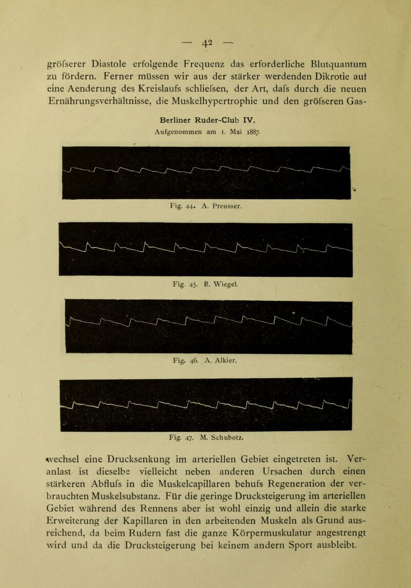 gröfserer Diastole erfolgende Frequenz das erforderliche Blutquantum zu fördern. Ferner müssen wir aus der stärker werdenden Dikrotie aut eine Aenderung des Kreislaufs schliefsen, der Art, dafs durch die neuen Ernährungsverhältnisse, die Muskelhypertrophie und den grofseren Gas- Berliner Ruder-Club IV. Aufgenommen am i. Mai 1887. Fig. 44. A. Preusser. Fig. 45. R. Wiege!. Fig. 46. A. Alkier. Fig. 47. M. Schubotz. Wechsel eine Drucksenkung im arteriellen Gebiet eingetreten ist. Ver- anlast ist dieselbe vielleicht neben anderen Ursachen durch einen stärkeren Abflufs in die Muskelcapillaren behufs Regeneration der ver- brauchten Muskelsubstanz. Für die geringe Drucksteigerung im arteriellen Gebiet während des Rennens aber ist wohl einzig und allein die starke Erweiterung der Kapillaren in den arbeitenden Muskeln als Grund aus- reichend, da beim Rudern fast die ganze Körpermuskulatur angestrengt wird und da die Drucksteigerung bei keinem andern Sport ausbleibt.