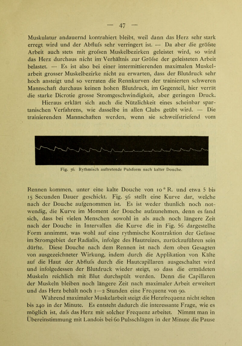 Muskulatur andauernd kontrahiert bleibt, weil dann das Herz sehr stark erregt wird und der Abflufs sehr verringert ist. — Da aber die gröfste Arbeit auch stets mit grofsen Muskelbezirken geleistet wird, so wird das Herz durchaus nicht im Verhältnis zur Gröfse der geleisteten Arbeit belastet. — Es ist also bei einer intermittierenden maximalen Muskel- arbeit grosser Muskelbezirke nicht zu erwarten, dass der Blutdruck sehr hoch ansteigt und so verraten die Rennkurven der trainierten schweren Mannschaft durchaus keinen hohen Blutdruck, im Gegenteil, hier verrät die starke Dicrotie grosse Stromgeschwindigkeit, aber geringen Druck. Hieraus erklärt sich auch die Nützlichkeit eines scheinbar spar- tanischen Verfahrens, wie dasselbe in allen Clubs geübt wird. — Die trainierenden Mannschaften werden, wenn sie schweifstriefend vom Fig. 56. Rythmisch auftretende Pulsform nach kalter Douche. Rennen kommen, unter eine kalte Douche von 10 °R. und etwa 5 bis 15 Secunden Dauer geschickt. Fig. 56 stellt eine Kurve dar, welche nach der Douche aufgenommen ist. Es ist weder thunlich noch not- wendig, die Kurve im Moment der Douche aufzunehmen, denn es fand sich, dass bei vielen Menschen sowohl in als auch noch längere Zeit nach der Douche in Intervallen die Kurve die in Fig. 56 dargestellte. Form annimmt, was wohl auf eine rythmische Kontraktion der Gefässe im Stromgebiet der Radialis, infolge des Hautreizes, zurückzuführen sein dürfte. Diese Douche nach dem Rennen ist nach dem oben Gesagten von ausgezeichneter Wirkung, indem durch die Applikation von Kälte auf die Haut der Abflufs durch die Hautcapillaren ausgeschaltet wird und infolgedessen der Blutdruck wieder steigt, so dass die ermüdeten Muskeln reichlich mit Blut durchspült werden. Denn die Capillaren der Muskeln bleiben noch längere Zeit nach maximaler Arbeit erweitert und das Herz behält noch 1—2 Stunden eine Frequenz von 90. Während maximaler Muskelarbeit steigt die Herzfrequenz nicht selten bis 240 in der Minute. Es entsteht dadurch die interessante Frage, wie es möglich ist, dafs das Herz mit solcher Frequenz arbeitet. Nimmt man in Übereinstimmung mit Landois bei 60 Pulsschlägen in der Minute die Pause