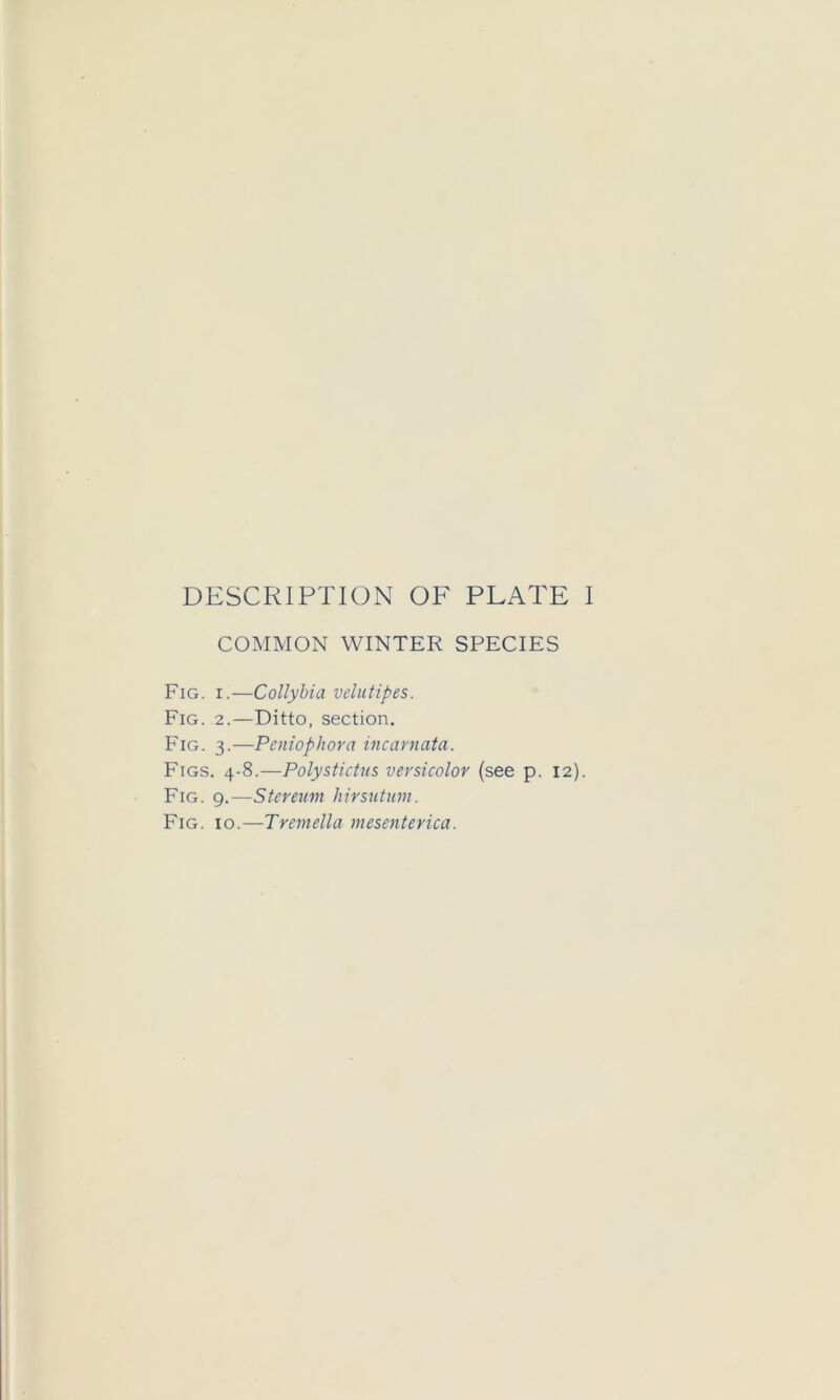 COMMON WINTER SPECIES Fig. I.—Collyhia velutipes. Fig. 2.—Ditto, section. Fig. 3.—Peniophora incarnata. Figs. 4-8.—Polystictiis versicolor (see p. 12). Fig. 9.—Stereum hirsutum. Fig. 10.—Tremella mesenterica.