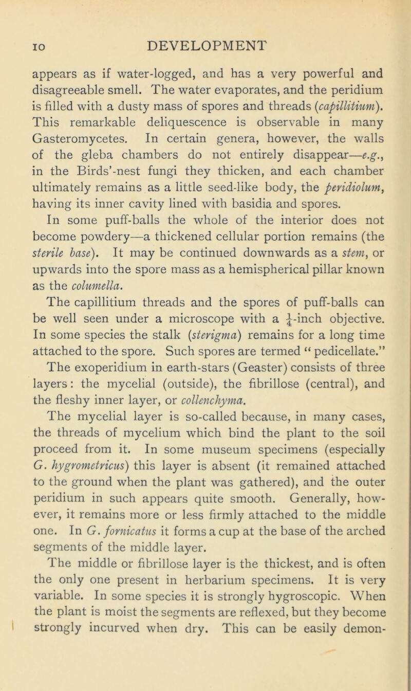 appears as if water-logged, and has a very powerful and disagreeable smell. The water evaporates, and the peridium is filled with a dusty mass of spores and threads {capillitium). This remarkable deliquescence is observable in many Gasteromycetes. In certain genera, however, the walls of the gleba chambers do not entirely disappear—e.g., in the Birds’-nest fungi they thicken, and each chamber ultimately remains as a little seed-like body, the peridiolum, having its inner cavity lined with basidia and spores. In some puff-balls the whole of the interior does not become powdery—a thickened cellular portion remains (the sterile base). It may be continued downwards as a stem^ or upwards into the spore mass as a hemispherical pillar known as the columella. The capillitium threads and the spores of puff-balls can be well seen under a microscope with a ;J-inch objective. In some species the stalk [sterigma) remains for a long time attached to the spore. Such spores are termed “ pedicellate.” The exoperidium in earth-stars (Geaster) consists of three layers: the mycelial (outside), the fibrillose (central), and the fleshy inner layer, or collenchyma. The mycelial layer is so-called because, in many cases, the threads of mycelium which bind the plant to the soil proceed from it. In some museum specimens (especially G. hygrometricus) this layer is absent (it remained attached to the ground when the plant was gathered), and the outer peridium in such appears quite smooth. Generally, how- ever, it remains more or less firmly attached to the middle one. In G. fornicaUis it forms a cup at the base of the arched segments of the middle layer. The middle or fibrillose layer is the thickest, and is often the only one present in herbarium specimens. It is very variable. In some species it is strongly hygroscopic. When the plant is moist the segments are reflexed, but they become strongly incurved when dry. This can be easily demon-