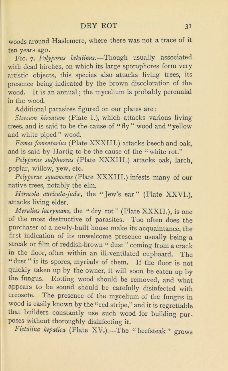 woods around Haslemere, where there was not a trace of it ten years ago. Fig. 7. Polyforus hetuUnus.—Though usually associated with dead birches, on which its large sporophores form very artistic objects, this species also attacks living trees, its presence being indicated by the brown discoloration of the wood. It is an annual; the mycelium is probably perennial in the wood. Additional parasites figured on our plates are: Stercum hirsutum (Plate I.), which attacks various living trees, and is said to be the cause of “fly ” wood and “yellow and white piped ” wood. Fomes fomentarius (Plate XXXIII.) attacks beech and oak, and is said by Hartig to be the cause of the “ white rot.” Polyponis sulphiireus (Plate XXXIII.) attacks oak, larch, poplar, willow, yew, etc. Polypoms squamosus (Plate XXXIII.) infests many of our native trees, notably the elm. Hirneola auricula-juda, the “Jew’s ear” (Plate XXVI.), attacks living elder. Merulius lacrymans, the “ dry rot ” (Plate XXXII.), is one of the most destructive of parasites. Too often does the purchaser of a newly-built house make its acquaintance, the first indication of its unwelcome presence usually being a streak or film of reddish-brown “ dust ” coming from a crack in the floor, often within an ill-ventilated cupboard. The “dust” is its spores, myriads of them. If the floor is not quickly taken up by the owner, it will soon be eaten up by the fungus. Rotting wood should be removed, and what appears to be sound should be carefully disinfected with creosote. The presence of the mycelium of the fungus in wood is easily known by the “red stripe,” and it is regrettable that builders constantly use such wood for building pur- poses without thoroughly disinfecting it. histulina Jiepatica (Plate XV.).—The “beefsteak” grows