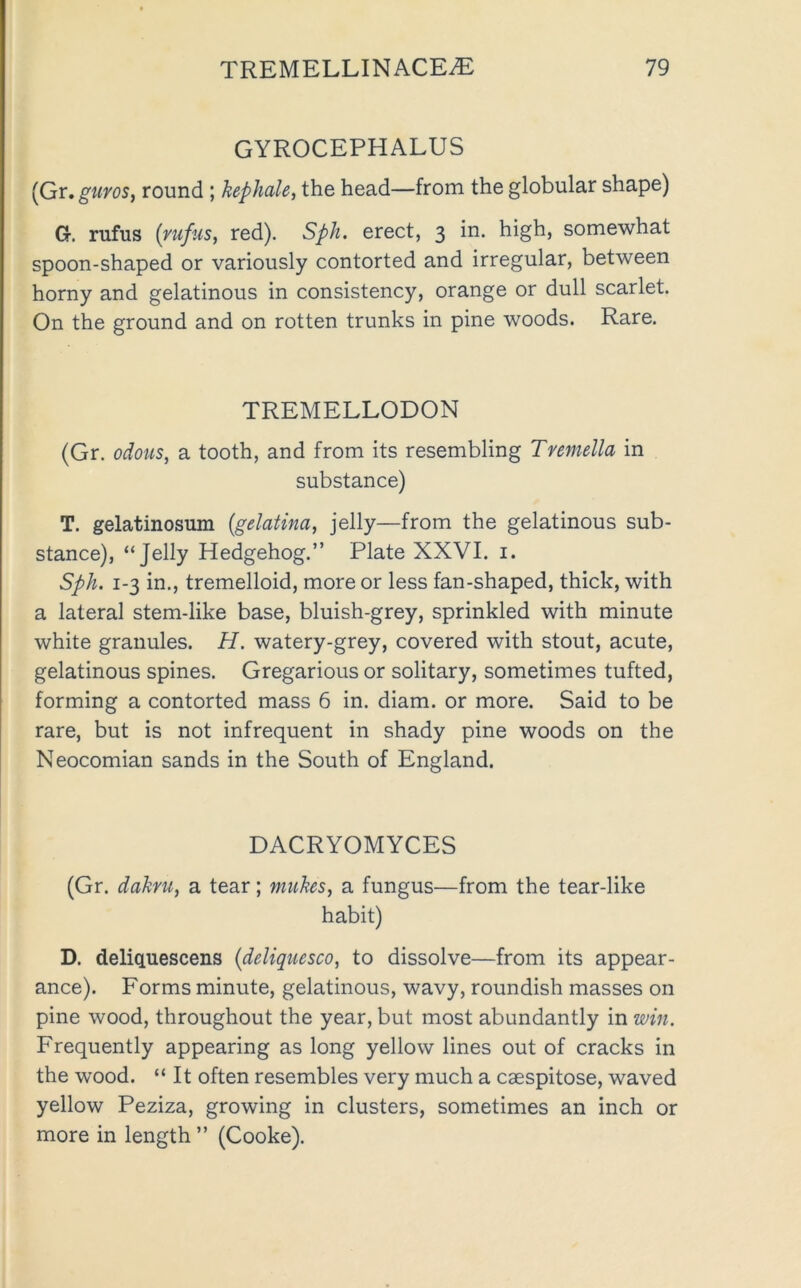 GYROCEPHALUS {Gr, guros^ round ; hephale, the head—from the globular shape) G. rufus (niftis, red). Sph. erect, 3 in. high, somewhat spoon-shaped or variously contorted and irregular, between horny and gelatinous in consistency, orange or dull scarlet. On the ground and on rotten trunks in pine woods. Rare. TREMELLODON (Gr. odous, a tooth, and from its resembling Tmnella in substance) T. gelatinosum {gelatina, jelly—from the gelatinous sub- stance), “Jelly Hedgehog.” Plate XXVI. i. Sph. 1-3 in., tremelloid, more or less fan-shaped, thick, with a lateral stem-like base, bluish-grey, sprinkled with minute white granules. H. watery-grey, covered with stout, acute, gelatinous spines. Gregarious or solitary, sometimes tufted, forming a contorted mass 6 in. diam. or more. Said to be rare, but is not infrequent in shady pine woods on the Neocomian sands in the South of England. DACRYOMYCES (Gr. dahm, a tear; mukes, a fungus—from the tear-like habit) D. deliquescens {deliquesco, to dissolve—from its appear- ance). Forms minute, gelatinous, wavy, roundish masses on pine wood, throughout the year, but most abundantly in win. Frequently appearing as long yellow lines out of cracks in the wood. “ It often resembles very much a caespitose, waved yellow Peziza, growing in clusters, sometimes an inch or more in length” (Cooke).