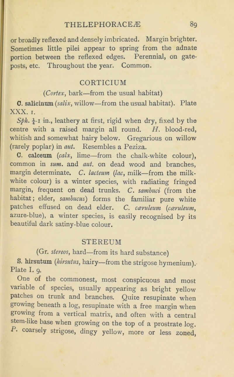 or broadly reflexed and densely imbricated. Margin brighter. Sometimes little pilei appear to spring from the adnate portion between the reflexed edges. Perennial, on gate- posts, etc. Throughout the year. Common. CORTICIUM {Cortex, bark—from the usual habitat) C. salicinum {salix, willow—from the usual habitat). Plate XXX. I. Sph. |-i in., leathery at first, rigid when dry, fixed by the centre with a raised margin all round. H. blood-red, whitish and somewhat hairy below. Gregarious on willow (rarely poplar) in mit. Resembles a Peziza. C. calceum {calx, lime—from the chalk-white colour), common in sum. and aut. on dead wood and branches, margin determinate, C. lacteum {lac, milk—from the milk- white colour) is a winter species, with radiating fringed margin, frequent on dead trunks. C. samhuci (from the habitat; elder, sambucus) forms the familiar pure white patches effused on dead elder. C. ccemleum {ccemleum, azure-blue), a winter species, is easily recognised by its beautiful dark satiny-blue colour. STEREUM (Gr. stereos, hard—from its hard substance) S. hirsutum {hirsutus, hairy—from the strigose hymenium).- Plate I. 9. One of the commonest, most conspicuous and most variable of species, usually appearing as bright yellow patches on trunk and branches. Quite resupinate when growing beneath a log, resupinate with a free margin when growing from a vertical matrix, and often with a central stem-hke base when growing on the top of a prostrate log. P. coarsely strigose, dingy yellow, more or less zoned.