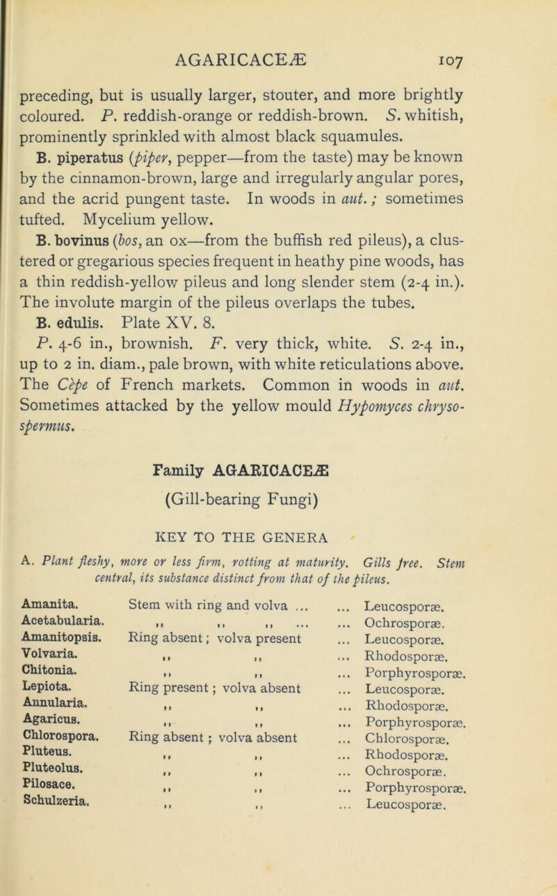 preceding, but is usually larger, stouter, and more brightly coloured. P. reddish-orange or reddish-brown. S. whitish, prominently sprinkled with almost black squamules. B. piperatus {piper, pepper—from the taste) may be known by the cinnamon-brown, large and irregularly angular pores, and the acrid pungent taste. In woods in aut.; sometimes tufted. Mycelium yellow. B. bovinus {hos, an ox—from the huffish red pileus), a clus- tered or gregarious species frequent in heathy pine woods, has a thin reddish-yellow pileus and long slender stem (2-4 in.). The involute margin of the pileus overlaps the tubes. B. edulis. Plate XV. 8. P. 4-6 in., brownish. F. very thick, white. S. 2-4 in., up to 2 in. diam., pale brown, with white reticulations above. The Cepe of French markets. Common in woods in atit. Sometimes attacked by the yellow mould Hypomyces chryso- spermus. Family AGARICACEiE (Gill-bearing Fungi) KEY TO THE GENERA A. Plant fleshy, more or less firm, rotting at maturity. Gills Jree, Stem central, its substance distinct from that of the pileus. Amanita. Stem with ring and volva ... ... Leucosporae. Acetabularia. II II »1 • • • ... Ochrosporae. Amanitopsis. Ring absent; volva present ... Leucosporae. Volvaria. II M ... Rhodosporae. Chitonia. II II ... Porphyrosporae. Lepiota. Ring present; volva absent ... Leucosporae. Annularia. II II ... Rhodosporae. Agaricus. II II ... Porphyrosporae. Chlorospora. Ring absent; volva absent ... Chlorosporae. Pluteus. II II ... Rhodosporae. Pluteolus. II II ... Ochrosporae. Pilosace. II * 1 ... Porphyrosporae. Schulzeria. II 1 > ... Leucosporae.