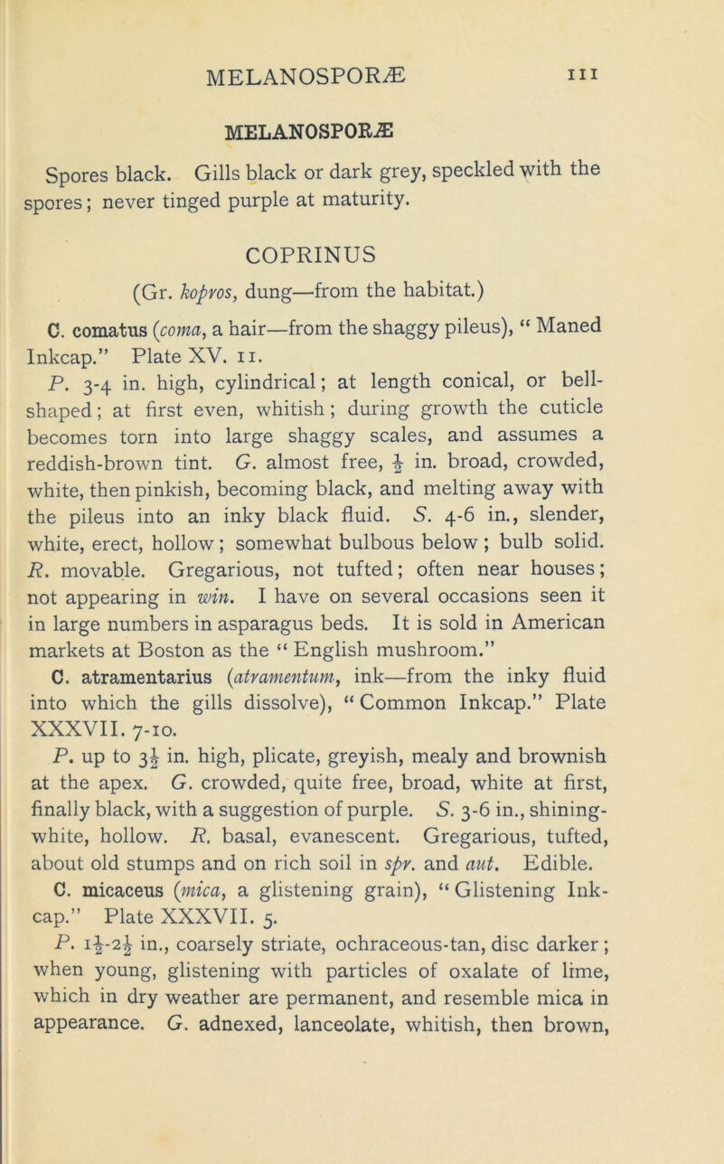 MELANOSPORiE Spores black. Gills black or dark grey, speckled with the spores; never tinged purple at maturity. COPRINUS (Gr. hopYOs, dung—from the habitat.) C. comatus {coma, a hair—from the shaggy pileus), “ Maned Inkcap.” Plate XV. ii. P. 3-4 in. high, cylindrical; at length conical, or bell- shaped; at first even, whitish; during growth the cuticle becomes torn into large shaggy scales, and assumes a reddish-brown tint. G. almost free, ^ in. broad, crowded, white, then pinkish, becoming black, and melting away with the pileus into an inky black fluid. 5. 4-6 in., slender, white, erect, hollow; somewhat bulbous below ; bulb solid. R. movable. Gregarious, not tufted; often near houses; not appearing in win. I have on several occasions seen it in large numbers in asparagus beds. It is sold in American markets at Boston as the “ English mushroom.” C. atramentarius {atramentum, ink—from the inky fluid into which the gills dissolve), “ Common Inkcap.” Plate XXXVII. 7-10. P. up to 3^ in. high, plicate, greyish, mealy and brownish at the apex. G. crowded, quite free, broad, white at first, finally black, with a suggestion of purple. S. 3-6 in., shining- white, hollow. R. basal, evanescent. Gregarious, tufted, about old stumps and on rich soil in spy. and aut. Edible. C. micaceus {mica, a glistening grain), “ Glistening Ink- cap.” Plate XXXVII. 5. P. i^-2| in., coarsely striate, ochraceous-tan, disc darker; when young, glistening with particles of oxalate of lime, which in dry weather are permanent, and resemble mica in appearance. G. adnexed, lanceolate, whitish, then brown.