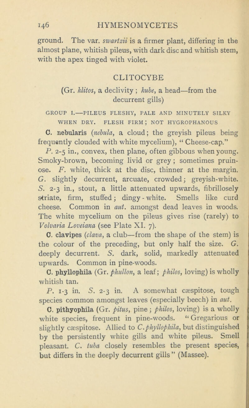 ground. The var. swavtzii is a firmer plant, differing in the almost plane, whitish pileus, with dark disc and whitish stem, with the apex tinged with violet. CLITOCYBE (Gr. klitos, a declivity ; hibe, a head—from the decurrent gills) GROUP I.—PILEUS FLESHY, PALE AND MINUTELY SILKY WHEN DRY. FLESH FIRM | NOT HYGROPHANOUS C. nebularis {nebula, a cloud; the greyish pileus being frequently clouded with white mycelium), “ Cheese-cap.” P. 2-5 in., convex, then plane, often gibbous when young. Smoky-brown, becoming livid or grey ; sometimes pruin- ose. F. white, thick at the disc, thinner at the margin. G. slightly decurrent, arcuate, crowded; greyish-white. S. 2-3 in., stout, a little attenuated upwards, fibrillosely striate, firm, stuffed; dingy - white. Smells like curd cheese. Common in aut. amongst dead leaves in woods. The white mycelium on the pileus gives rise (rarely) to Volvaria Loveiana (see Plate XI. 7). O. clavipes {clava, a club—from the shape of the stem) is the colour of the preceding, but only half the size. G. deeply decurrent. S. dark, solid, markedly attenuated upwards. Common in pine-woods. C. phyllophila (Gr. phidlon, a leaf; philos, loving) is wholly whitish tan. P. 1-3 in. S. 2-3 in. A somewhat caespitose, tough species common amongst leaves (especially beech) in aut. C. pithyophila (Gr. pitus, pine ; philos, loving) is a wholly white species, frequent in pine-woods. “ Gregarious or slightly caespitose. Allied to C.phyllophila, but distinguished by the persistently white gills and white pileus. Smell pleasant. C. tuba closely resembles the present species, but differs in the deeply decurrent gills ” (Massee).