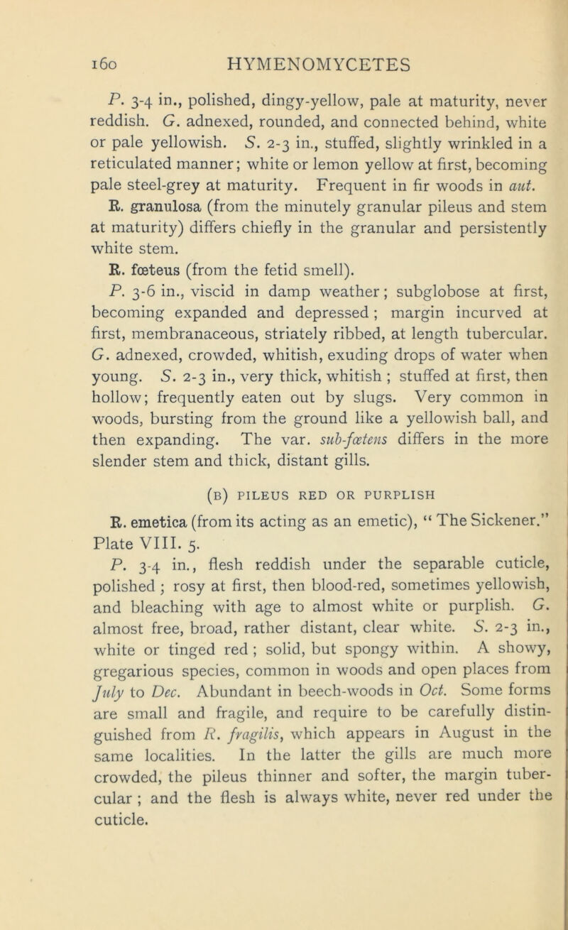 P. 3-4 in., polished, dingy-yellow, pale at maturity, never reddish. G. adnexed, rounded, and connected behind, white or pale yellowish. S. 2-3 in., stuffed, slightly wrinkled in a reticulated manner; white or lemon yellow at first, becoming pale steel-grey at maturity. Frequent in fir woods in aut. R. granulosa (from the minutely granular pileus and stem at maturity) differs chiefly in the granular and persistently white stem. R. fcBteus (from the fetid smell). P. 3-6 in., viscid in damp weather; subglobose at first, becoming expanded and depressed; margin incurved at first, membranaceous, striately ribbed, at length tubercular. G. adnexed, crowded, whitish, exuding drops of water when young. S. 2-3 in., very thick, whitish ; stuffed at first, then hollow; frequently eaten out by slugs. Very common in woods, bursting from the ground like a yellowish ball, and then expanding. The var. sub-fcetens differs in the more slender stem and thick, distant gills. (b) pileus red or purplish R. emetica (from its acting as an emetic), “ The Sickener.” Plate VIII. 5. P. 3-4 in., flesh reddish under the separable cuticle, polished ; rosy at first, then blood-red, sometimes yellowish, and bleaching with age to almost white or purplish. G. almost free, broad, rather distant, clear white. 5. 2-3 in., white or tinged red ; solid, but spongy within. A showy, gregarious species, common in woods and open places from July to Dec. Abundant in beech-woods in Oct. Some forms are small and fragile, and require to be carefully distin- guished from R. fragilis, which appears in August in the same localities. In the latter the gills are much more crowded, the pileus thinner and softer, the margin tuber- cular ; and the flesh is always white, never red under the cuticle.