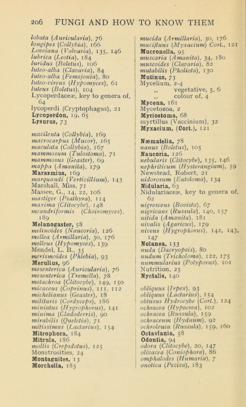 lohata {Auricularia), 76 longipes {Collybia), 166 Loveiana {Volvaria), 135, 146 lubrica [Leotia), 184 luridus [Boletus), 106 luteo-alba [Clavaria], 84 luteo-alba [Femsjonia), 80 luteo-virens [Hypomyces), 61 Inteus [Boletus), 104 Lycoperdaceae, key to genera of, 64 lycoperdi (Cryptophagus), 21 Lycoperdon, 19, 65 Lysurus, 73 macilenta [Collybia), 169 macrocarpus [Mucor), 165 maculata [Collybia), 167 mammosum [Tulostoma), 71 mammosus [Geaster), 69 mappa [Amanita), 179 Marasmius, 169 marquandi [Verticillium), 143 Marshall, Miss, 71 Massee, G., 14, 22, 106 mastiger [Psathyra), 114 maxima [Clitocybe), 148 meandrijovmis [Choivomyces), 189 Melanogaster, 58 melinoides [Naucoria), 126 mellea [Armillana), 30, 176 melleus [Hypomyces), 139 Mendel, L. B., 35 merismoides [Phlebia), 93 Merulius, 96 mesenterica [Auricularia), 76 mesenterica [Tremella), 78 metachroa [Clitocybe), 149, 150 micaceus [Coprinus), in, 112 michelianus [Geaster), i8 militaris [Cordyceps), 186 miniatus [Hygrophorus), 141 minima [Cladoderris), 90 mirabilis [Queletia), 71 mitissimus [Lactarius), 154 Mitrophora, 184 Mitrula, 186 mollis [Crepidotus), 125 Monstrosities, 24 Montagnites, 13 Morchella, 185 1 rnucida [Armillaria), 30, 176 I mucifluus [Myxacium) Cort., 121 j Mucronella, 95 muscaria [Amanita), 34, 180 muscoides [Clavaria), 82 mutabilis [Pholiota), 130 Mutinus, 73 Mycelium, 2-4 ,, vegetative, 5, 6 ,, colour of, 4 Mycena, 161 i Mycetozoa, 2 j Myriostoma, 68 I myrtillus (Vaccinium), 32 i Myxacium, (Cort.), 121 i I Nmmatelia, 78 ; nanus [Boletus), 105 Naucoria, 126 nebularis [Clitocybe), 135, 146 nephriticum (Hysterangnim), 59 Newstead, Robert, 21 nidorosum [Entoloma), 134 Nidularia, 63 Nidulariaceae, key to genera of, 62 nigrescens [Bovista), 67 nigricans [Russula), 140, 157 nitida [Amanita), 181 nivalis [Agaricus), niveus [Hygrophorus), 142, 14 147 Nolanea, 133 ! nuda [Dacryopsis), 80 nudum [Tricholoma), 122, 175 nummularius [Polyporus), loi Nutrition, 25 Nyctalis, 140 obliquus [Irpex), 93 obliquus [Lactarius), 154 obtusus Hydrocybe [Cort.), 124 j ochracea [Hypocrea), 102 ochracea [Russula), 159 ochraceum [Hydnum), 92 ; ochroleuca [Russula), 159, 160 Octaviania, 58 Odoutia, 94 odor a [Clitocybe), 20, 147 olivacea [Coniophora), 86 omphalodes [Humaria), 7 onotica [Peziza), 183