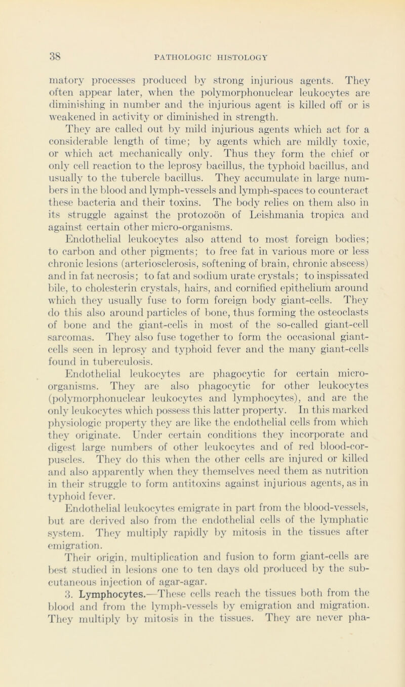 imitory processes produced by strong injurious agents. They often ap]iear later, when the polymorphonuclear leukocytes are diminishing in numlier and the injurious agent is killed off or is weakened in activity or diminished in streng-th. They are called out 1)}^ mild injurious agents which act for a considerable length of time; by agents which are mildly toxic, or which act mechanically only. Thus they form the chief or only cell reaction to the leprosy bacillus, the tyjihoid bacillus, and usually to the tubercle Ijacillus. They accumulate in large num- bers in the blood and lymph-vessels and lyin])h-s]iaces to counteract these liacteria and their toxins. The body relies on them also in its struggle against the protozoon of Leishmania tropica and against certain other micro-organisms. Endothelial leukocytes also attend to most foreign liodies; to carbon and other pigments; to free fat in various more or less chronic lesions (arteriosclerosis, softening of brain, chronic abscess) and in fat necrosis; to fat and sodium urate crystals; to inspissated ])ile, to cholesterin crystals, hairs, and cornified epithelium around which they usually fuse to form foreign liody giant-cells. They do this also around ]iarticles of bone, thus forming the osteoclasts of })one and the giant-cells in most of the so-called giant-cell sarcomas. They also fuse together to form the occasional giant- cells seen in leprosy and typhoid fever and the many giant-cells found in tuberculosis. Endothelial leukocytes are phagocytic for certain micro- organisms. They arc also jihagocytic for other leukocytes (polymorphonuclear leukocytes and lymphoc>ffes), and are the only leukocytes which possess this latter jiroperty. In this marked physiologic property they are like the endothelial cells from which they originate. Under certain conditions they incorporate and dige.st large numbers of other leukocytes and of red l)lood-cor- jiuscles. They do this when the other cells are injured or killed and also a]iparently when they themselves need them as nutrition in their struggle to form antitoxins against injurious agents, as in typhoid fever. Endothelial leukocytes emigrate in part from the lilood-vessels, but are derived also from the endothelial cells of the ljunphatic system. They multijily rapidly by mitosis in the tissues after emigration. Their origin, multiplication and fusion to form giant-cells are best studied in lesions one to ten days old produced hy the sub- cutaneous injection of agar-agar. 3. Lymphocytes.— These cells reach the tissues both from the bloofl and from the lymph-v(!ssels by emigration and migration. They multiply by mitosis in the tissues. They are never pha-