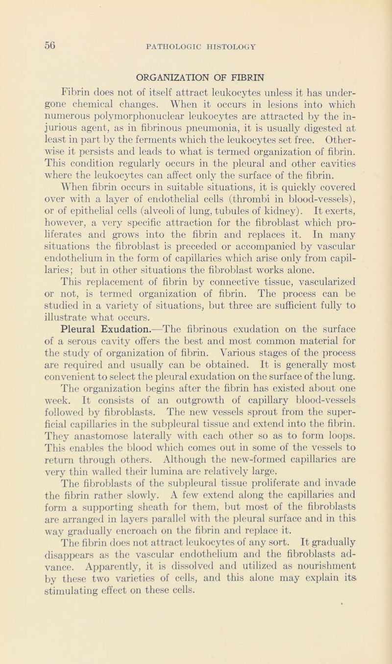 ORGANIZATION OF FIBRIN Filirin does not of itself attract leukocytes unless it has under- gone chemical changes. When it occurs in lesions into which numerous polymorphonuclear leukocytes are attracted liy the in- jurious agent, as in fibrinous pneumonia, it is usuallj^ digested at least in jiart by the ferments which the leukocytes set free. Other- wise it persists and leads to what is termed organization of fibrin. This condition regularly occurs in the iileural and other cavities where the leukocytes can affect only the surface of the fibrin. AMien fibrin occurs in suitalile situations, it is cpiickly covered over with a layer of endothelial cells (thrombi in blood-vessels), or of epithelial cells (alveoli of lung, tubules of kidney). It exerts, however, a very specific attraction for the fibroblast which pro- liferates and grows into the fibrin ami replaces it. In many situations the fibroblast is preceded or acconijianied by vascular endothelium in the form of cajiillaries which arise only from capil- laries; but in other situations the fibroblast works alone. This reiilacenient of fibrin by connective tissue, vascularized or not, is termed organization of fibrin. The process can be studied in a variety of situations, but three are sufficient fully to illustrate what occurs. Pleural Exudation.—The fibrinous exudation on the surface of a serous cavity offers the best and most common material for the study of organization of fibrin. \'arious stages of the process are recpiired and usually can be obtained. It is generally most convenient to select the jileural exudation on the surface of the lung. The organization begins after the fibrin has existed about one week. It consists of an outgrowth of capillary lilood-vesscls followed by fibroblasts. The new vessels sprout from the super- ficial capillaries in the subpleural tissue and extend into the fibrin. They anastomose laterally with each other so as to form loops. This enables the blood which conies out in some of the vessels to return through others. Although the new-formed capillaries are very thin walled their lumina are relatively large. The fibroblasts of the subpleural tissue proliferate and invade the fibrin rather slowly. A few extend along the caiiillaries and form a supporting sheath for them, but most of the fibroblasts are arranged in layers parallel with the pleural surface and in this way gradually encroach on the fibrin and rejilace it. The fibrin does not attract leukocytes of any sort. It gradually disappears as the vascular endothelium and the fibroblasts ad- vance. Apparently, it is dissolved and utilized as nourishment by these two varieties of cells, and this alone may explain its stimulating effect on these cells.