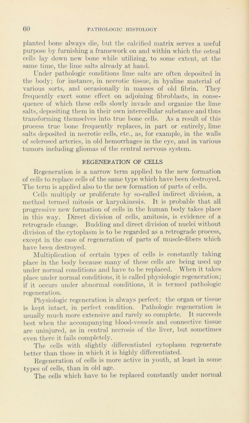planted bone always die, but the calcifietl matrix serves a useful purpose by furnishing a framework on and within which the osteal cells lay down new bone while utilizing, to some extent, at the same time, the lime salts already at hand. Under pathologic conditions lime salts are often deposited in the body; for instance, in necrotic tissue, in hyaline material of various sorts, and occasionally in masses of old fibrin. They frecpiently exert some effect on adjoining filiroblasts, in conse- quence of which these cells slowly invade and organize the lime salts, depositing them in their own intercellular substance and thus transforming themselves into true bone cells. As a result of this process true bone frequently replaces, in part or entirely, lime salts deposited in necrotic cells, etc., as, for example, in the walls of sclerosed arteries, in old hemorrhages in the eye, and in various tumors including gliomas of the central nervous system. REGENERATION OF CELLS Kegeneration is a narrow term applied to the new formation of cells to replace cells of the same type which have been destroyed. The term is applied also to the new formation of parts of cells. ('ells multiiily or proliferate by so-called indirect division, a method termed mitosis or karyokinesis. It is proliable that all progressive new formation of cells in the human l)otly takes place in this way. Direct division of cells, amitosis, is evidence of a retrograde change. Budding and direct division of nuclei without division of the cytoplasm is to be regarded as a retrograde process, except in the case of regeneration of parts of muscle-fibers which have been destroyed. Multiplication of certain tyjies of cells is constantly taking place in the body because many of these cells are being used up under normal conditions and have to be replaced. A\ hen it takes place under normal conditions, it is called physiologic regeneration; if it occurs under abnormal conditions, it is termed pathologic regeneration. Physiologic regeneration is always perfect; the organ or tissue is ke})t intact, in perfect condition. Pathologic regeneration is usually much more extensive and rarely so com])lete. It succeeds b('st when the accompanying blood-vessels and connective tissue are uninjured, as in central necrosis of the liver, but sometimes even there it fails completely. The cells with slightly differentiated cytoplasm regenerate better than those in which it is highly differentiated. Regeneration of cells is more active in youth, at least in some types of cells, than in old age. The cells which have to lie replaced constantly under normal