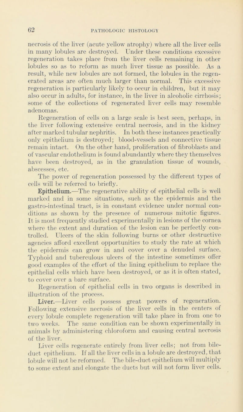 necrosis of the liver (acute yellow atrophy) where all the liver cells in many lobules are destroyed. Under these conditions excessive regeneration takes place from the liver cells remaining in other lobules so as to reform as much liver tissue as possible. As a result, while new lobules are not formed, the lobules in the regen- erated areas are often much larger than normal. This excessive regeneration is particularly likely to occur in children, but it may also occur in adults, for instance, in the liver in alcoholic cirrhosis; some of the collections of regenerated liver cells may resemble adenomas. Regeneration of cells on a large scale is best seen, perhaps, in the liver following extensive central necrosis, and in the kidney after marked tubular nephritis. In Ijoth these instances practically only epithelium is destroyed; blood-vessels and connective tissue remain intact. On the other hand, proliferation of fibroblasts and of vascular endothelium is found abundantly where they themselves have been destroyed, as in the granulation tissue of wounds, aliscesses, etc. The ]iower of regeneration possessed by the different types of cells will be referred to briefly. Epithelium.—The regenerative ability of epithelial cells is well marked and in some situations, such as the epidermis and the gastro-intestinal tract, is in constant evidence under normal con- ditions as shown by the presence of numerous mitotic figures. It is most frecpiently studied experimentally in lesions of the cornea where the extent and duration of the lesion can lie perfectly con- trolled. Ulcers of the skin following burns or other destructive agencies afford excellent opportunities to study the rate at which the epidermis can grow in and cover over a denuded surface. Typhoid and tuberculous ulcers of the intestine sometimes offer good examples of the effort of the lining ejiithelium to rejilace the epithelial cells which have lieen destroyed, or as it is often stated, to cover over a bare surface. Regeneration of epithelial cells in two organs is descrilied in illustration of tlie process. Liver.—Liver cells possess great powers of regeneration. Following extensive necrosis of the liver cells in the centers of every lobule complete regeneration will take place in from one to two weeks. The same condition can be shown experimentally in animals by administering chloroform and causing central necrosis of the liver. Liver cells regenerate entirely from liver cells; not from bile- duct epithelium. If all the liver cells in a lobule are destroyed, that lobule will not be reformed. The bile-duct epithelium will multiply to some extent and elongate the ducts but will not form liver cells.