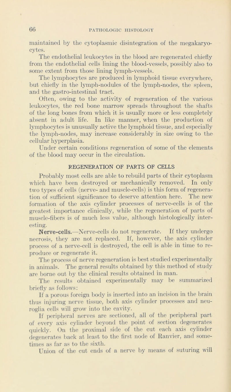 6G iiiaiiitaiiied by the cytoplasmic disintegration of the megakaryo- cytes. The endothelial leukocytes in the blood are regenerated chiefly from the endothelial cells lining the blood-vessels, possibly also to some extent from those lining lymph-vessels. The lymphocytes are produced in lymphoid tissue everywhere, but chiefly in the lymph-nodules of the lymph-nodes, the spleen, and the gastro-intestinal tract. Often, owing to the activity of regeneration of the various leukocytes, the red bone marrow spreads throughout the shafts of the long bones from which it is usually more or less completely absent in adult life. In like manner, when the production of lymphocytes is unusually active the lymphoid tissue, and especially the lynii)h-nodes, may increase considerably in size owing to the cellular hyperplasia. Under certain conditions regeneration of some of the elements of the blood may occur in the circulation. REGENERATION OF PARTS OF CELLS Probably most cells are able to reliuild parts of their cytoplasm which have been destroyed or mechanically removed. In only two types of cells (nerve- and muscle-cells) is this form of regenera- tion of sufficient significance to deserve attention here. The new formation of the axis cylinder ]>rocesses of nerve-cells is of the greatest imiiortance clinically, while the regeneration of parts of muscle-fibers is of much less value, although histologically inter- esting. Nerve-cells.—Nerve-cells do not regenerate. If they undergo necrosis, they are not replaced. If, however, the axis cylinder process of a nerve-cell is destroyed, the cell is able in time to re- produce or regenerate it. The process of nerve regeneration is best studied experimentally in animals. The general results obtained by this method of study are borne out by the clinical results obtained in man. The results obtained experimentally may be summarized briefly as follows: If a jiorous foreign body is inserted into an incision in the brain thus injuring nerve tissue, both axis cylinder processes and neu- roglia cells will grow into the cavity. If peripheral nerves are sectioned, all of the peripheral ]>art of every axis cylinder beyond tlie ])oint of section degenerates quickly. On the iiroximal side of the cut each axis cylinder degenerates back at least to the first node of Ranvier, and some- times as far as to the sixth. Union of the cut ends of a nerve by means of suturing will