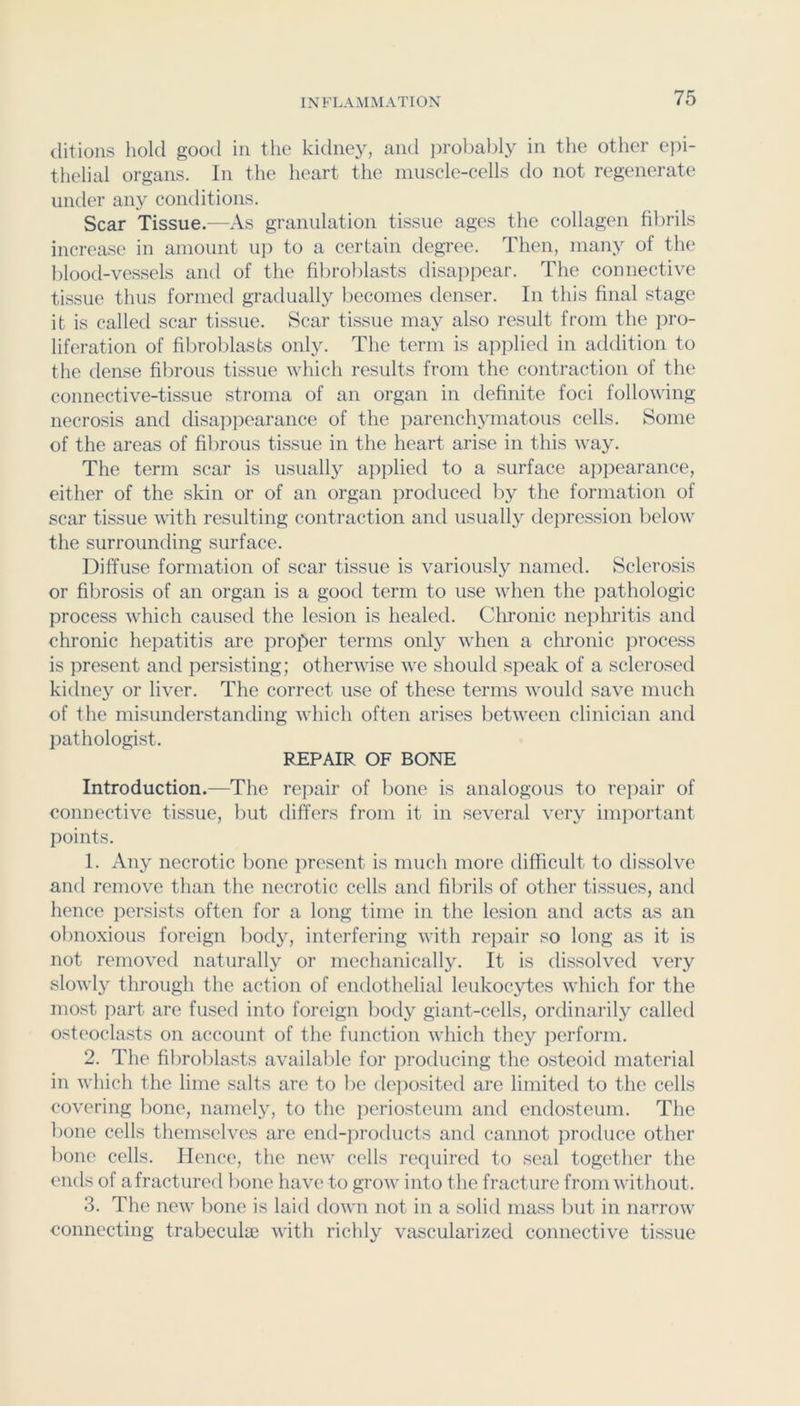ditions hold good in the kidiiej^, and jiroliably in the other ejM- thelial organs. In the heart the muscle-cells do not regenerate under any conditions. Scar Tissue.—As granulation tissue ages the collagen fibrils increase in amount up to a certain degree. Then, many of the blood-vessels and of the fibroblasts disappear. The connective tissue thus formed gradually becomes denser. In this final stage it is called scar tissue. Scar tissue may also result from the pro- liferation of fibroblasts onl}L The term is applied in addition to the dense fibrous tissue which results from the contraction of the connective-tissue stroma of an organ in definite foci folloAving necrosis and disa])i)earance of the parenchymatous cells. Some of the areas of fibrous tissue in the heart arise in this way. The term scar is usually apjdied to a surface appearance, either of the skin or of an organ produced by the formation of scar tissue with resulting contraction and usually depression below the surrounding surface. Diffuse formation of scar tissue is variously named. Sclerosis or fibrosis of an organ is a good term to use when the pathologic process which causetl the lesion is healed. Chronic nephritis and chronic hepatitis are proper terms only when a chronic process is present and persisting; otherwise we should speak of a sclerosed kidney or liver. The correct use of these terms would save much of the misunderstanding which often arises between clinician and pathologist. REPAIR OF BONE Introduction.—The re]:>air of bone is analogous to rejiair of connective tissue, but differs from it in several very important Iioints. 1. Any necrotic bone present is much more difficult to dissolve and remove than the necrotic cells and fibrils of other tissues, and hence ]iersists often for a long time in the lesion and acts as an obnoxious foreign body, interfering with repair so long as it is not removed naturally or mechanically. It is dissolved very slowly through the action of endothelial leukocytes which for the most part are fused into foreign body giant-cells, ordinarily called osteoclasts on account of the function which they ])erforni. 2. The fibroblasts available for jiroducing the osteoid material in which the lime salts are to be de])osited are limited to the cells covering bone, namely, to the periosteum and endosteum. The bone cells themselves are end-products and cannot produce otlier bone cells. Hence, the new cells required to seal together the ends of a fractured bone have to grow into the fracture from without. 3. The new bone is laid down not in a solid mass but in narrow connecting trabeculae with richly vascularized connective ti.ssue