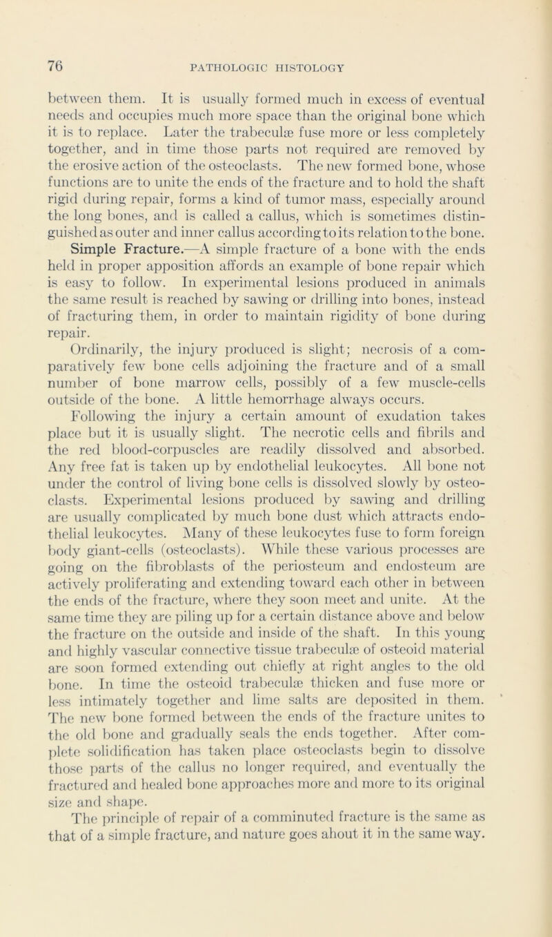 between them. It is usually formed much in excess of eventual needs and occupies much more space than the original bone which it is to replace. Later the trabeculjB fuse more or less completely together, and in time those parts not required are removed by the erosive action of the osteoclasts. The new formed bone, whose functions are to unite the ends of the fracture and to hold the shaft rigid during repair, forms a kind of tumor mass, especially around the long bones, and is called a callus, which is sometimes distin- guished as outer and inner callus according to its relation to the bone. Simple Fracture.—A simple fracture of a bone with the ends held in proper apposition affords an example of bone repair which is easy to follow. In experimental lesions produced in animals the same result is reached by sawing or drilling into bones, instead of fracturing them, in order to maintain rigidity of bone during repair. Ordinarily, the injury produced is slight; necrosis of a com- paratively few bone cells adjoining the fracture and of a small number of bone marrow cells, possibly of a few muscle-cells outside of tlie bone. A little hemorrhage always occurs. Following the injury a certain amount of exudation takes place but it is usually slight. The necrotic cells and fibrils and the red blood-corpuscles are readily dissolved and alisorbed. Any free fat is taken up by endothelial leukocytes. All bone not under the control of living bone cells is dissolved slowly by osteo- clasts. Experimental lesions produced by sawing and drilling are usually complicated by much bone dust which attracts endo- thelial leukocytes. Many of these leukocytes fuse to form foreign body giant-cells (osteoclasts). While these various processes are going on the fibroblasts of the periosteum and endosteum are actively proliferating and extending toward each other in between the ends of the fracture, where they soon meet and unite. At the same time they are ]iiling up for a certain distance aliove and below the fracture on the outside and inside of the shaft. In this young and highly vascular connective tissue trabeculae of osteoid material are soon formed extending out chiefly at right angles to the old bone. In time the osteoid trabeculae thicken and fuse more or less intimately together and lime salts are deposited in them. The new bone formed between the ends of the fracture unites to the old bone and gradually seals the ends together. After com- plete soliflification has taken place osteoclasts begin to dissolve those parts of the callus no longer required, and eventually the tract lin'd and healed bone approaches more and more to its original size and shape. The principle of repair of a comminuted fracture is the same as that of a simple fracture, and nature goes about it in the same way.