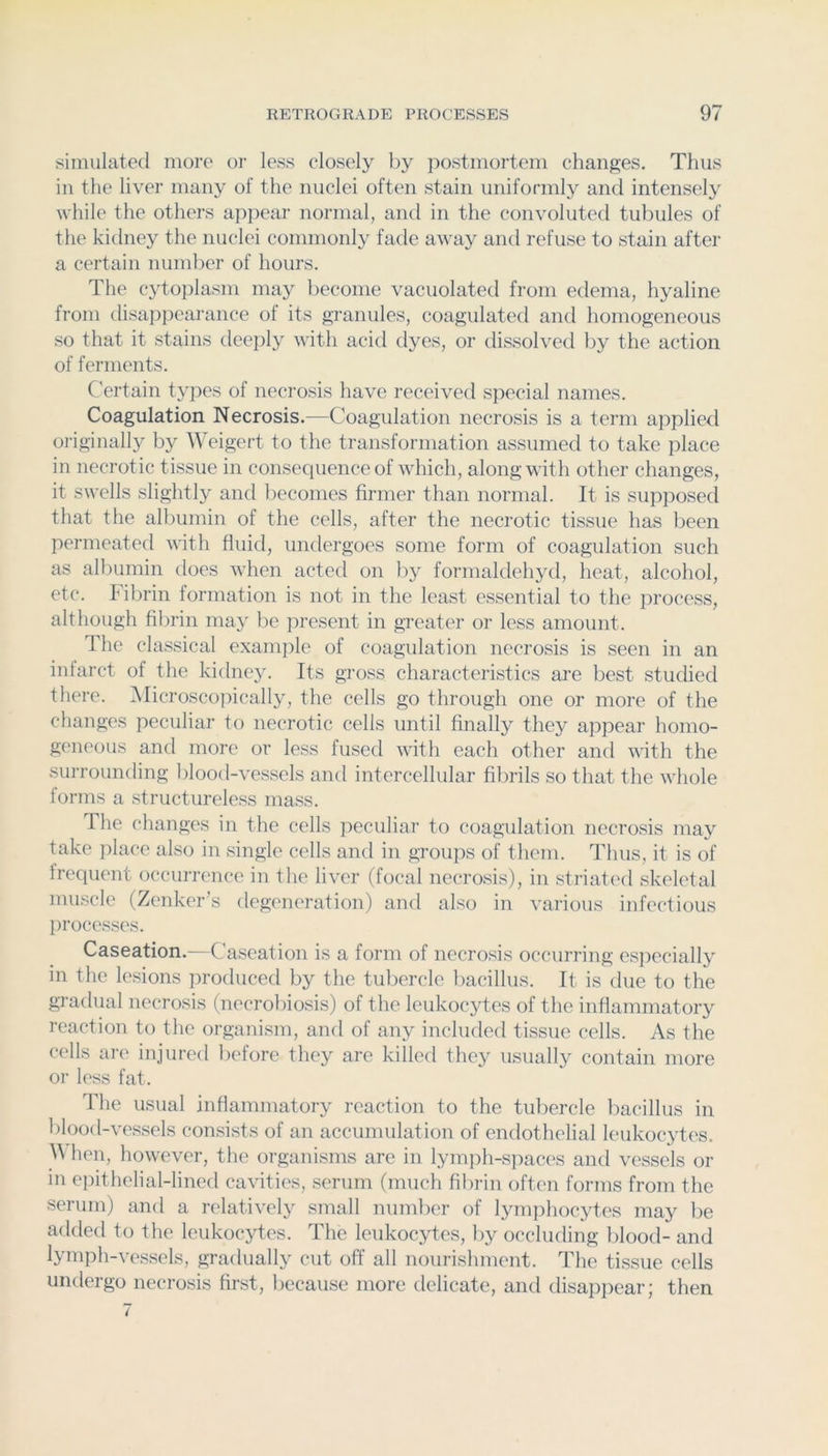 simulated more or less closely by postmortem changes. Thus in the liver many of the nuclei often stain uniformly and intensely while the others apj)ear normal, and in the convoluted tubules of the kitlney the nuclei commonly fade away and refuse to stain aftei- a certain number of hours. The cytoplasm may become vacuolated from edema, hyaline from disappearance of its granules, coagulated and homogeneous so that it stains deeply with acid dyes, or dissolved by the action of ferments. C'ertain types of necrosis have received special names. Coagulation Necrosis.—Coagulation necrosis is a term applied originally by Weigert to the transformation assumed to take place in necrotic tissue in consequence of which, along with other changes, it swells slightly and becomes firmer than normal. It is supposecl that the albumin of the cells, after the necrotic tissue has been permeated vith fluid, undergoes some form of coagulation such as albumin does when acted on by formaldehyd, lieat, alcohol, etc. Fibrin formation is not in the least essential to the process, although fibrin may bo present in greater or less amount. The classical example of coagulation necrosis is seen in an infarct of the kidney. Its gross characteristics are best studied there. iMicroscojncally, the cells go through one or more of the changes peculiar to necrotic cells until finally they appear homo- geneous and more or less fused with each other and with the surrounding blood-vessels and intercellular fibrils so that the whole forms a sti'uctureless mass. The changes in the cells peculiar to coagulation necrosis may take place also in single cells and in groups of them. Thus, it is of frequent occurrence in the liver (focal necrosis), in striated skeletal muscle (Z(>nker’s degeneration) and also in various infectious processes. Caseation.—Caseation is a form of necrosis occurring es])ecially in the lesions produced by the tubercle bacillus. It is due to the gradual necrosis (necrobiosis) of the leukocytes of the inflammatory reaction to the organism, and of any included tissue cells. As the cells are injured I)efore they are killed they usually contain more or less fat. The usual inflammatory reaction to the tubercle bacillus in blood-vessels consists of an accumulation of endothelial leukocytes. hen, however, the organisms arc in lymph-spaces and vessels or in epithelial-lined cavities, serum (much fibrin often forms from the serum) and a relatively small number of lymphocytes may be added to the leukocytes. The leukoc^des, by occluding blood- and lymph-vessels, gradiiall}' cut off all nourishment. The tissue cells undergo necrosis first, because more delicate, and disai)pear; then