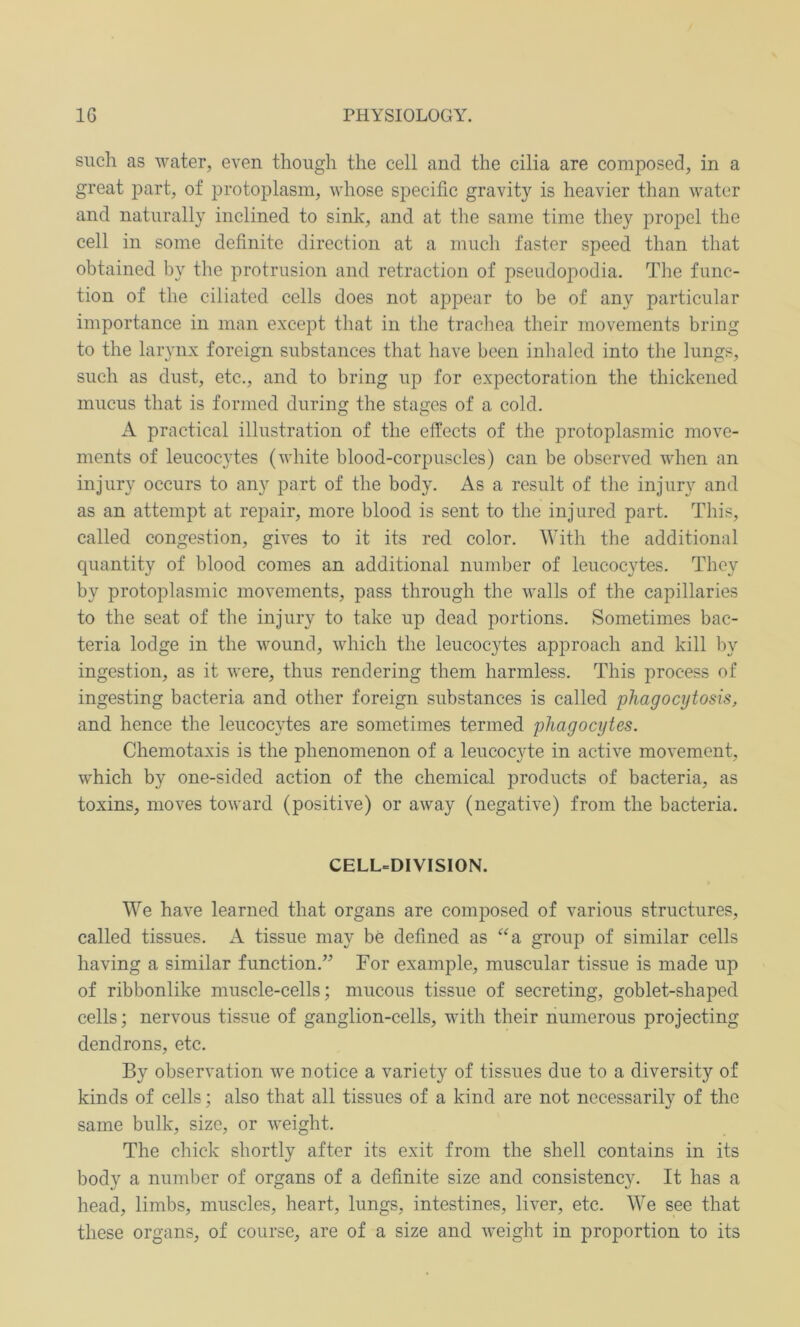 such as water, even though the cell and the cilia are composed, in a great part, of protoplasm, whose specific gravity is heavier than water and naturally inclined to sink, and at the same time they propel the cell in some definite direction at a much faster speed than that obtained by the protrusion and retraction of pseudopodia. The func- tion of the ciliated cells does not appear to be of any particular importance in man except that in the trachea their movements bring to the larynx foreign substances that have been inhaled into the lungs, such as dust, etc., and to bring up for expectoration the thickened mucus that is formed during the stages of a cold. A practical illustration of the effects of the protoplasmic move- ments of leucocytes (white blood-corpuscles) can be observed when an injury occurs to any part of the body. As a result of the injury and as an attempt at repair, more blood is sent to the injured part. This, called congestion, gives to it its red color. With the additional quantity of blood comes an additional number of leucocytes. They by protoplasmic movements, pass through the walls of the capillaries to the seat of the injury to take up dead portions. Sometimes bac- teria lodge in the wound, which the leucocytes approach and kill by ingestion, as it were, thus rendering them harmless. This process of ingesting bacteria and other foreign substances is called phagocytosis, and hence the leucocytes are sometimes termed phagocytes. Chemotaxis is the phenomenon of a leucocyte in active movement, which by one-sided action of the chemical products of bacteria, as toxins, moves toward (positive) or away (negative) from the bacteria. CELL=DIVISION. We have learned that organs are composed of various structures, called tissues. A tissue may be defined as “a group of similar cells having a similar function.” For example, muscular tissue is made up of ribbonlike muscle-cells; mucous tissue of secreting, goblet-shaped cells; nervous tissue of ganglion-cells, with their numerous projecting dendrons, etc. By observation we notice a variety of tissues due to a diversity of kinds of cells; also that all tissues of a kind are not necessarily of the same bulk, size, or weight. The chick shortly after its exit from the shell contains in its body a number of organs of a definite size and consistency. It has a head, limbs, muscles, heart, lungs, intestines, liver, etc. We see that these organs, of course, are of a size and weight in proportion to its