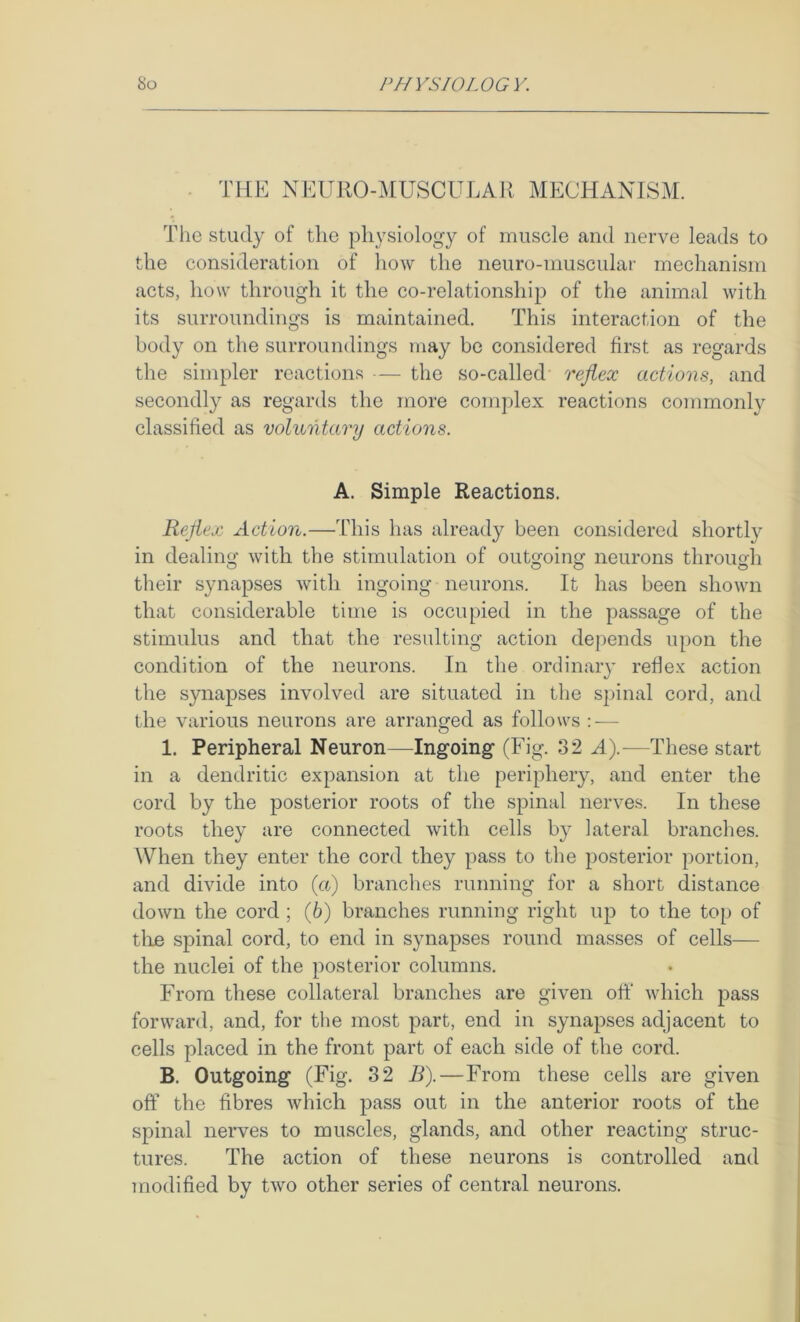 . THE NEURO-MUSCULAR MECHANISM. The study of the physiology of muscle and nerve leads to the consideration of how the neuro-niuscular mechanism acts, how through it the co-relationship of the animal with its surroundings is maintained. This interaction of the body on the surroundings may be considered first as regards the simpler reactions — the so-called reflex actions, and secondly as regards the more complex reactions commonly classified as voluntary actions. A. Simple Reactions. Reflex Action.—This has already been considered shortly in dealing with the stimulation of outgoing neurons through their synapses with ingoing neurons. It has been shown that considerable time is occupied in the passage of the stimulus and that the resulting action depends upon the condition of the neurons. In the ordinary refle.K action the synapses involved are situated in tlie spinal cord, and the various neurons are arranged as follows :-— 1. Peripheral Neuron—Ingoing (Fig. 32 A).-—These start in a dendritic expansion at the periphery, and enter the cord by the posterior roots of the spinal nerves. In these roots they are connected with cells by lateral branches. When they enter the cord they pass to the posterior portion, and divide into (a) branches running for a short distance down the cord ; (6) branches running right up to the top of tire spinal cord, to end in synapses round masses of cells— the nuclei of the posterior columns. From these collateral branches are given off which pass forward, and, for the most part, end in synapses adjacent to cells placed in the front part of each side of the cord. B. Outgoing (Fig. 32 B).—From these cells are given off the fibres which out in the anterior roots of the spinal nerves to muscles, glands, and other reacting struc- tures. The action of these neurons is controlled and modified by two other series of central neurons.