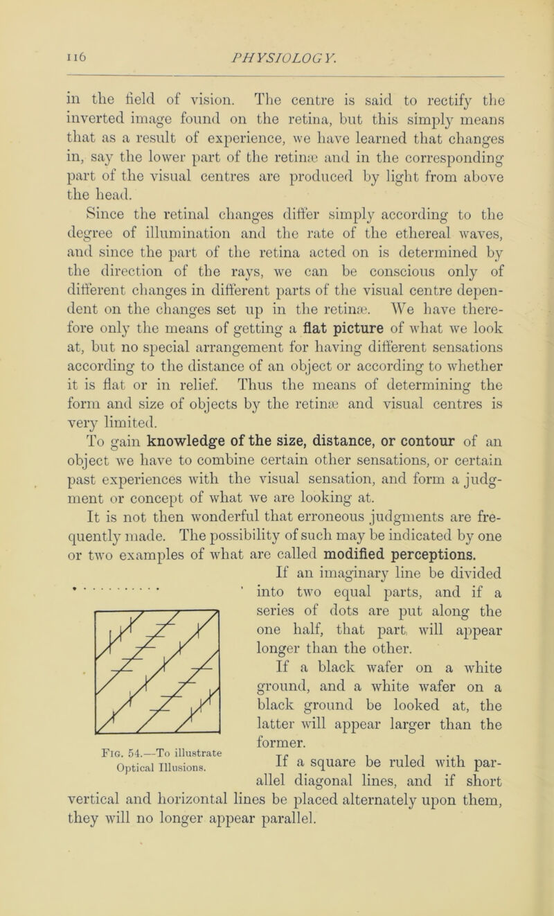 in the held of vision. Tlie centre is said to rectify tlie inverted image found on the retina, but this simply means that as a result of experience, we have learned that changes in, say the lower part of the retime and in the corresponding part of the visual centres are produced by light from above the head. Since the retinal changes difter simply according to the degree of illumination and the rate of the ethereal waves, and since the part of the retina acted on is determined by the direction of the rays, we can be conscious only of different changes in difterent parts of the visual centre depen- dent on the changes set up in the retinae We have there- fore only the means of getting a fiat picture of what we look at, but no special arrangement for having different sensations according to the distance of an object or according to whether it is flat or in relief. Thus the means of determining the form and size of objects by the retime and visual centres is very limited. To gain knowledge of the size, distance, or contour of an object we have to combine certain other sensations, or certain past experiences with the visual sensation, and form a judg- ment or concept of what we are looking at. It is not then wonderful that erroneous judgments are fre- quently made. The possibility of such may be indicated by one or two examples of what are called modified perceptions. If an imaginary line be divided into two equal parts, and if a series of dots are put along the one half, that part, will appear longer than the other. If a black wafer on a white ground, and a white wafer on a black ground be looked at, the latter will appear larger than the former. If a square be ruled with par- allel diagonal lines, and if short vertical and horizontal lines be jDlaced alternately upon them, they will no longer appear parallel. Fig. 54.—To illustrate Optical Illusions.