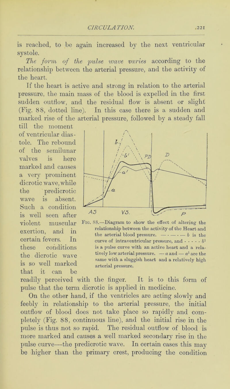 is reached, to be again increased by the next ventricular systole. The form of the ivave varies according to the relationship between the arterial pressure, and the activity of the heart. If the heart is active and strong in relation to the arterial pressure, the main mass of the blood is expelled in the first sudden ontdow, and the residual flow is absent or slight (Fig. 88, dotted line). In this case there is a sudden and marked rise of the arterial pressure, followed by a steady fall till the moment of ventricular dias - tole. The rebound of the semilunar valves is here marked and causes a very prominent dicrotic wave, while the predicrotic wave is absent. Such a condition is well seen after violent muscular exertion, and in certain fevers. In these conditions the dicrotic wave is so well marked that it can be readily perceived with the finger. It is to this form of pulse that the term dicrotic is applied in medicine. On the other hand, if the ventricles are acting slowly and feebly in relationship to the arterial pressure, the initial outflow of blood does not take place so rapidly and com- pletely (Fig. 88, continuous line), and the initial rise in the pulse is thus not so rapid. The residual outflow of blood is more marked and causes a well marked secondary rise in the pulse curve—the predicrotic wave. In certain cases this may be higher than the primary crest, producing the condition Fig. 88.—Diagram to show the effect of altering the relationship between the activity of the Heart and the arterial blood pressure. b is the curve of intraventricular pressure, and R is a pulse curve with an active heart and a rela- tively low arterial pressure. — a and — are the same with a sluggish heart and a relatively high arterial pressure.