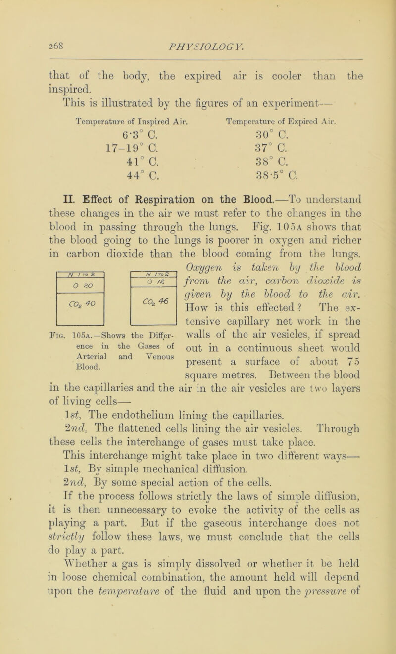 that of the body, the expired air is cooler than the inspired. This is illustrated by the figures of an experiment— Temperature of In.spired Air. 6-3° C. 17-19° C. 41° C. 44° C. Temperature of Expired Air. 30° C. 37° C. 38° C. 38-5° C. A/ / TO Z /V /ro2 o o O /2 CO^ 4-0 COz 46 Fig. 105.\. Shows the Differ- ence in the Gases of Arterial and Venous Blood. II. Effect of Respiration on the Blood.—To understand these changes in the air we must refer to the changes in the blood in passing through the lungs. Fig. 106a shows that the blood going to the lungs is poorer in oxygen and richer in carbon dioxide than the blood coming from the lungs. Oxygen is taken by the blood from the air, carbon dioxide is given by the blood to the air. How is this effected ? The ex- tensive capillary net work in the Avails of the air vesicles, if spread out in a continuous sheet Avould present a surface of about 76 square metres. BetAveen the blood in the capillaries and the air in the air vesicles are two layers of living cells— Is^, The endothelium lining the capillaries. 2nd; The flattened cells lining the air vesicles. Through these cells the interchange of gases must take place. This interchange might take place in tAvo different Avays— Is^, By simple mechanical diffusion. 2nd, By some special action of the cells. If the process folloAvs strictly the laws of simple diffusion, it is then unnecessary to evoke the activity of the cells as playing a part. But if the gaseous interchange does not strictly follow these laAvs, Ave must conclude that the cells do play a part. Whether a gas is simply dissolved or AAdiether it be held in loose chemical combination, the amount held Avill depend upon the temperature of the fluid and upon the pressure of