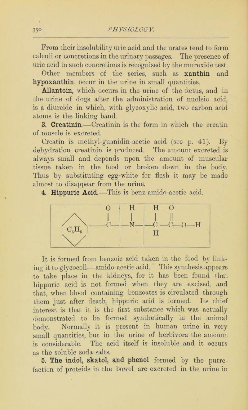 From their insolubility uric acid and the urates tend to form calculi or concretions in the urinary passages. The presence of uric acid in such concretions is recognised by the murexide test. Other members of the series, such as xanthin and hypoxanthin, occur in the urine in small quantities. Allantoin, which occurs in the urine of the foetus, and in the urine of dogs after the administration of nucleic acid, is a diureide in which, with glycoxylic acid, two carbon acid atoms is the linking band. 3. Creatinin.—Creatinin is the form in which the creatin of muscle is excreted. Creatin is methyl-guanidin-acetic acid (see p. 41). By dehydration creatinin is produced. The amount excreted is always small and depends upon the amount of muscular tissue taken in the food or broken down in the body. Thus by substituting egg-white for flesh it may be made almost to disappear from the urine. 4. Hippuric Acid.—This is benz-amido-acetic acid. It is formed from benzoic acid taken in the food by link- ing it to glycocoll—amido-acetic acid. This synthesis appears to take place in the kidneys, for it has been found that hippuric acid is not formed when they are excised, and that, when blood containing benzoates is circulated through them just after death, hippuric acid is formed. Its chief interest is that it is the first substance which was actually demonstrated to be formed synthetically in the animal body. Normally it is present in human urine in very small quantities, but in the urine of herbivora the amount is considerable. The acid itself is insoluble and it occurs as the soluble soda salts. 5. The indol, skatol, and phenol formed by the putre- faction of proteids in the bowel are excreted in the urine in