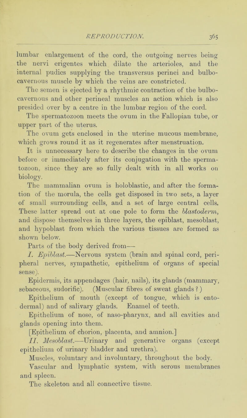 lumbar enlai’gement of the cord, the outgoing nerves being the nervi erigentes which dilate the arterioles, and the internal pudics supplying the transversus perinei and bulbo- cavernous muscle by which the veins are constricted. The semen is ejected by a rhythmic contraction of the bulbo- cavernous and other perineal muscles an action which is also presided over by a centre in the lumbar region of the cord. The spermatozoon meets the ovum in the Fallopian tube, or upper part of the uterus. The ovum o'ots enclosed in the uterine mucous membrane, which grows round it as it regenerates after menstruation. It is unnecessary here to describe the changes in the ovum before or immediately after its conjugation with the sperma- tozoon, since they are so fully dealt with in all works on biology. The mammalian ovum is holoblastic, and after the forma- tion of the morula, the cells get disposed in two sets, a layer of small surrounding cells, and a set of large central cells. These latter spread out at one pole to form the blastoderm, and dispose themselves in three layers, the epiblast, mesoblast, and hypoblast from which the various tissues are formed as shown below. Parts of the body derived from— I. Epiblast.—Nervous system (brain and spinal cord, peri- pheral nerves, sympathetic, epithelium of organs of special sense). Epidermis, its appendages (hair, nails), its glands (mammary, sebaceous, sudorific). (Muscular fibres of sweat glands ? ) Epithelium of mouth (except of tongue, which is ento- dermal) and of salivary glands. Enamel of teeth. Epithelium of nose, of naso-pharynx, and all cavities and glands opening into them. [Epithelium of chorion, placenta, and amnion.] II. Mesoblast.—-Urinary and generative organs (except epithelium of urinary bladder and urethra). Muscles, voluntary and involuntary, throughout the body. Vascular and lymphatic system, witli serous membranes and spleen. The skeleton and all connective tissue.