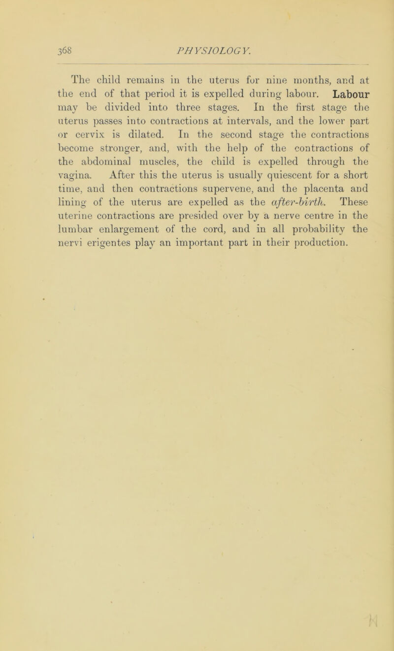 The child remains in the uterus for nine months, and at the end of that period it is expelled during- labour. Labour may be divided into three stages. In the first stage the uterus passes into contractions at intervals, and the lower part or cervix is dilated. In the second stage the contractions become stronger, and, with the help of the contiactions of the abdominal muscles, the child is expelled through the vagina. After this the uterus is usually quiescent for a short time, and then contractions supervene, and the placenta and lining of the uterus are expelled as the after-hirth. These uterine contractions are presided over by a nerve centre in the lumbar enlargement of the cord, and in all probability the nervi erigentes play an important part in their production.