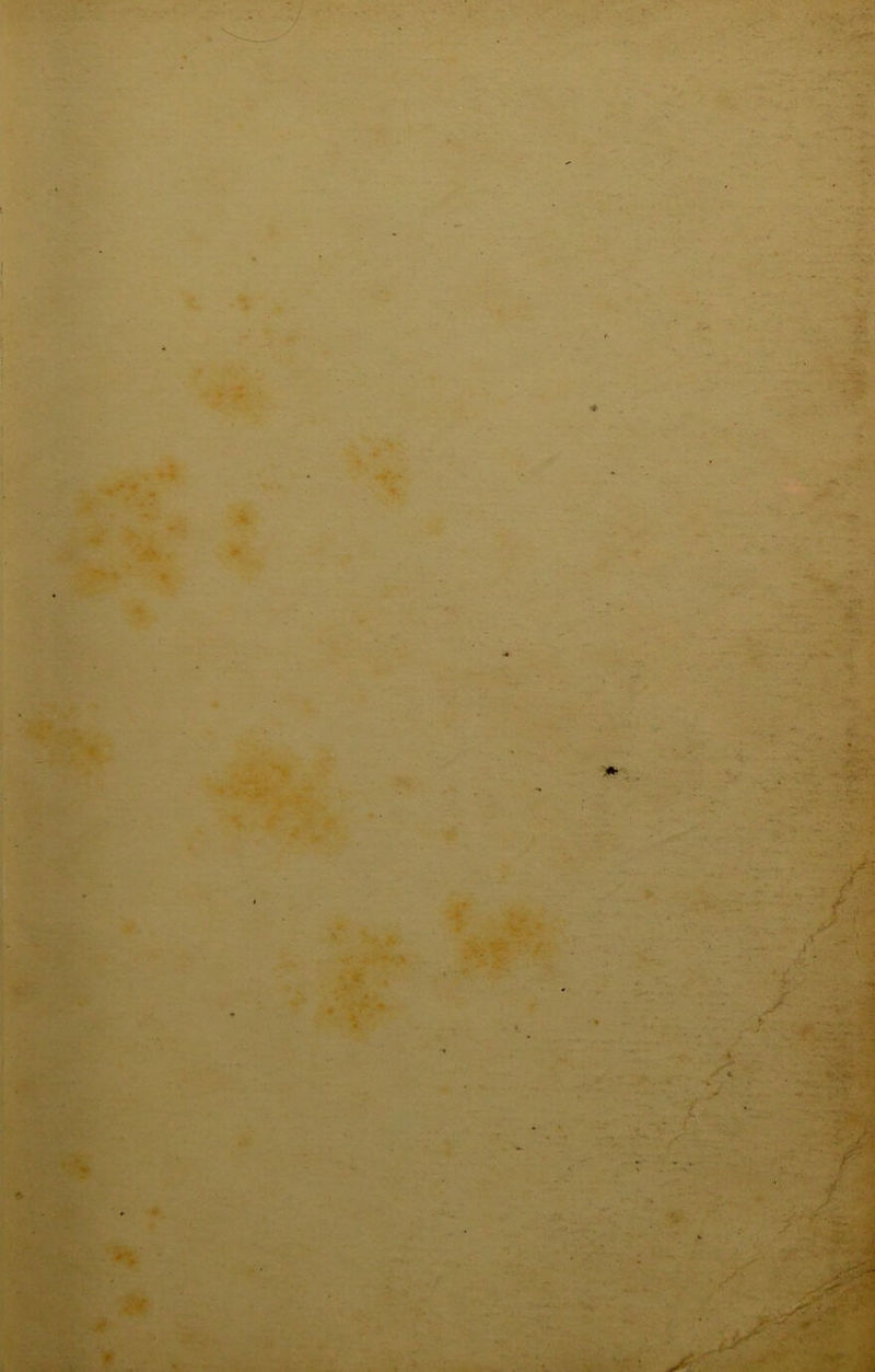 - ./ / ? I \ a. .T< c\ *r .<;• “' j ’ - •■ ^ ^ ji /• J^ Vf“ -» ■< { , V i r-/ , ■•-> I -« i '■;J >•':•■■• •« f