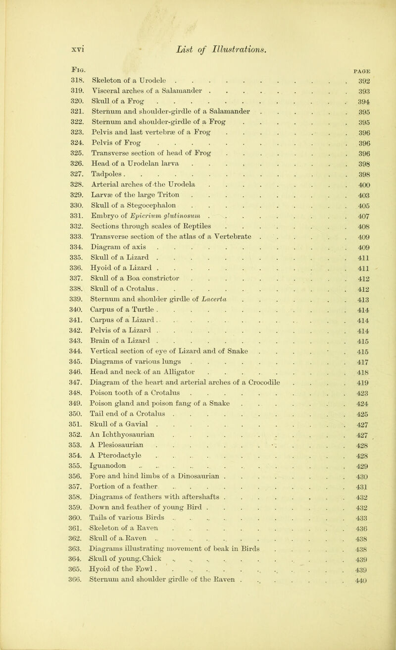 Fig. 318. Skeleton of a Urodele 319. Visceral arches of a Salamander ..... 320. Skull of a Frog 321. Sternum and shoulder-girdle of a Salamander 322. Sternum and shoulder-girdle of a Frog 323. Pelvis and last vertebrae of a Frog .... 324. Pelvis of Frog 325. Transverse section of head of Frog .... 326. Head of a Urodelan larva ...... 327. Tadpoles 328. Arterial arches of*the Urodela ..... 329. Larvae of the large Triton 330. Skull of a Stegocephalon 331. Embryo of Epicrium glutinosum ..... 332. Sections through scales of Reptiles .... 333. Transverse section of the atlas of a Vertebrate . 334. Diagram of axis 335. Skull of a Lizard 336. Hyoid of a Lizard 337. Skull of a Boa constrictor 338. Skull of a Crotalus 339. Sternum and shoulder girdle of Lacerta 340. Carpus of a Turtle 341. Carpus of a Lizard 342. Pelvis of a Lizard ........ 343. Brain of a Lizard ........ 344. Vertical section of eye of Lizard and of Snake 345. Diagrams of various lungs ...... 346. Head and neck of an Alligator 347. Diagram of the heart and arterial arches of a Crocodile 348. Poison tooth of a Crotalus 349. Poison gland and poison fang of a Snake 350. Tail end of a Crotalus 351. Skull of a Gavial 352. An Ichthyosaurian 353. A Plesiosaurian . . . . . . •. 354. A Pterodactyle ........ 355. Iguanodon .„ ... 356. Fore and hind limbs of a Dinosaurian .... 357. Portion of a feather 358. Diagrams of feathers with aftershafts .... 359. Down and feather of young Bird 360. Tails of various Birds . . ... 361. Skeleton of a Raven ....... 362. Skull of a. Raven ... 363. Diagrams illustrating movement of beak in Birds 364. -Skull of young. Chick .. .... 365. Hyoid of the Fowl. 366. Sternum and shoulder girdle of the Raven . PAGE 392 393 394 395 395 396 396 396 398 398 400 403 405 407 408 409 409 411 411 412 412 413 414 414 414 415 415 417 418 419 423 424 425 427 427 428 428 429 430 431 432 432 433 436 438 438 439 439 440