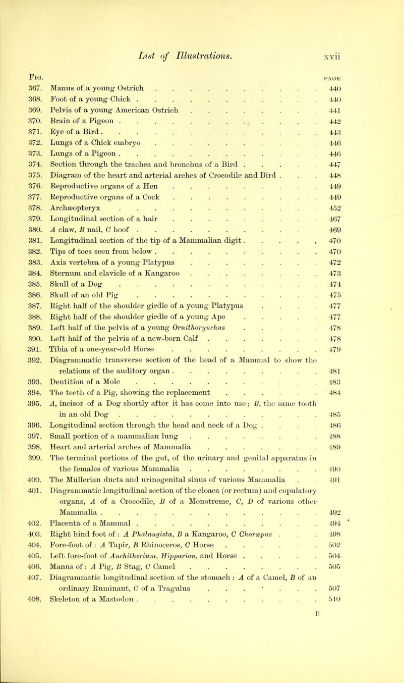Fig. page 367. Manus of a young Ostrich 440 368. Foot of a young Chick 440 369. Pelvis of a young American Ostrich ........ 441 370. Brain of a Pigeon 442 371. Eye of a Bird 443 372. Lungs of a Chick embryo .......... 446 373. Lungs of a Pigeon ............ 446 374. Section through the trachea and bronchus of a Bird 447 375. Diagram of the heart and arterial arches of Crocodile and Bird . . 448 376. Beproductive organs of a Hen 449 377. Beproductive organs of a Cock ......... 449 378. Archaeopteryx ............ 452 379. Longitudinal section of a hair 467 380. A claw, B nail, C hoof 469 381. Longitudinal section of the tip of a Mammalian digit..... 470 382. Tips of toes seen from below 470 383. Axis vertebra of a young Platypus 472 384. Sternum and clavicle of a Kangaroo 473 385. Skull of a Dog 474 386. Skull of an old Pig 475 387. Bight half of the shoulder girdle of a young Platypus .... 477 388. Bight half of the shoulder girdle of a young Ape 477 389. Left half of the pelvis of a young Ornithorynchus 478 390. Left half of the pelvis of a new-born Calf 478 391. Tibia of a one-year-old Horse 479 392. Diagrammatic transverse section of the head of a Mammal to show the relations of the auditory organ. . . . . . .481 393. Dentition of a Mole 483 394. The teeth of a Pig, showing the replacement 484 395. A, incisor of a Dog shortly after it has come into use; B, the same tooth in an old Dog 485 396. Longitudinal section through the head and neck of a Dog .... 486 397. Small portion of a mammalian lung ........ 488 398. Heart and arterial arches of Mammalia 489 399. The terminal portions of the gut, of the urinary and genital apparatus in the females of various Mammalia 490 400. The Mullerian ducts and urinogenital sinus of various Mammalia . . 491 401. Diagrammatic longitudinal section of the cloaca (or rectum) and copulatory organs, A of a Crocodile, B of a Monotreme, C, D of various other Mammalia ............. 492 402. Placenta of a Mammal ........... 494 403. Bight hind foot of : A Phalangista, B a Kangaroo, C Choroepus . . 498 404. Fore-foot of : A Tapir, B Bhinoceros, C Horse 502 405. Left fore-foot of Anchitherium, Hipparion, and Horse ..... 504 406. Manus of: A Pig, B Stag, C Camel 505 407. Diagrammatic longitudinal section of the stomach : A of a Camel, B of an ordinary Buminant, C of a Tragulus ...... 507 408. Skeleton of a Mastodon . . . . . . . . . . .510