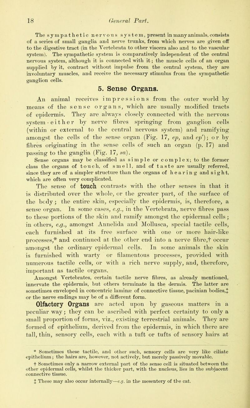 The sympathetic nervous system, present in many animals, consists of a series of small ganglia and nerve trunks, from which nerves are given off to the digestive tract (in the Yertebrata to other viscera also and to the vascular system). The sympathetic system is comparatively independent of the central nervous system, although it is connected with it; the muscle cells of an organ supplied by it, contract without impulse from the central system, they are involuntary muscles, and receive the necessary stimulus from the sympathetic ganglion cells. 5. Sense Organs. An animal receives impressions from the outer world by means of the sense organs, which are usually modified tracts of epidermis. They are always closely connected with the nervous system -either by nerve fibres springing from ganglion cells (within or external to the central nervous system) and ramifying amongst the cells of the sense organ (Fig. 17, ep, and ep'); or by fibres originating in the sense cells of such an organ (p. 17) and passing to the ganglia (Fig. 17, sa). Sense organs may be classified as simple or complex; to the former class the organs of touch, of smell, and of taste are usually referred, since they are of a simpler structure than the organs of hearing and sight, which are often very complicated. The sense of touch contrasts with the other senses in that it is distributed over the whole, or the greater part, of the surface of the body; the entire skin, especially the epidermis, is, therefore, a sense organ. In some cases, e.g., in the Yertebrata, nerve fibres pass to these portions of the skin and ramify amongst the epidermal cells; in others, e.g., amongst Annelida and Mollusca, special tactile cells, each furnished at its free surface with one or more hair-like processes,* and continued at the other end into a nerve fibre,! occur amongst the ordinary epidermal cells. In some animals the skin is furnished with warty or filamentous processes, provided with numerous tactile cells, or with a rich nerve supply, and, therefore, important as tactile organs. Amongst Vertebrates, certain tactile nerve fibres, as already mentioned, innervate the epidermis, but others terminate in the dermis. The latter are sometimes enveloped in concentric laminae of connective tissue, pacinian bodies,! or the nerve endings may be of a different form. Olfactory Organs are acted upon by gaseous matters in a peculiar way; they can be ascribed with perfect certainty to only a small proportion of forms, viz., existing terrestrial animals. They are formed of epithelium, derived from the epidermis, in which there are tall, thin, sensory cells, each with a tuft or tufts of sensory hairs at * Sometimes these tactile, and other such, sensory cells are very like ciliate epithelium; the hairs are, however, not actively, but merely passively movable. f Sometimes only a narrow external part of the sense cell is situated between the other epidermal cells, whilst the thicker part, with the nucleus, lies in the subjacent ■connective tissue. X These may also occur internally—e.g, in the mesentery of the cat.