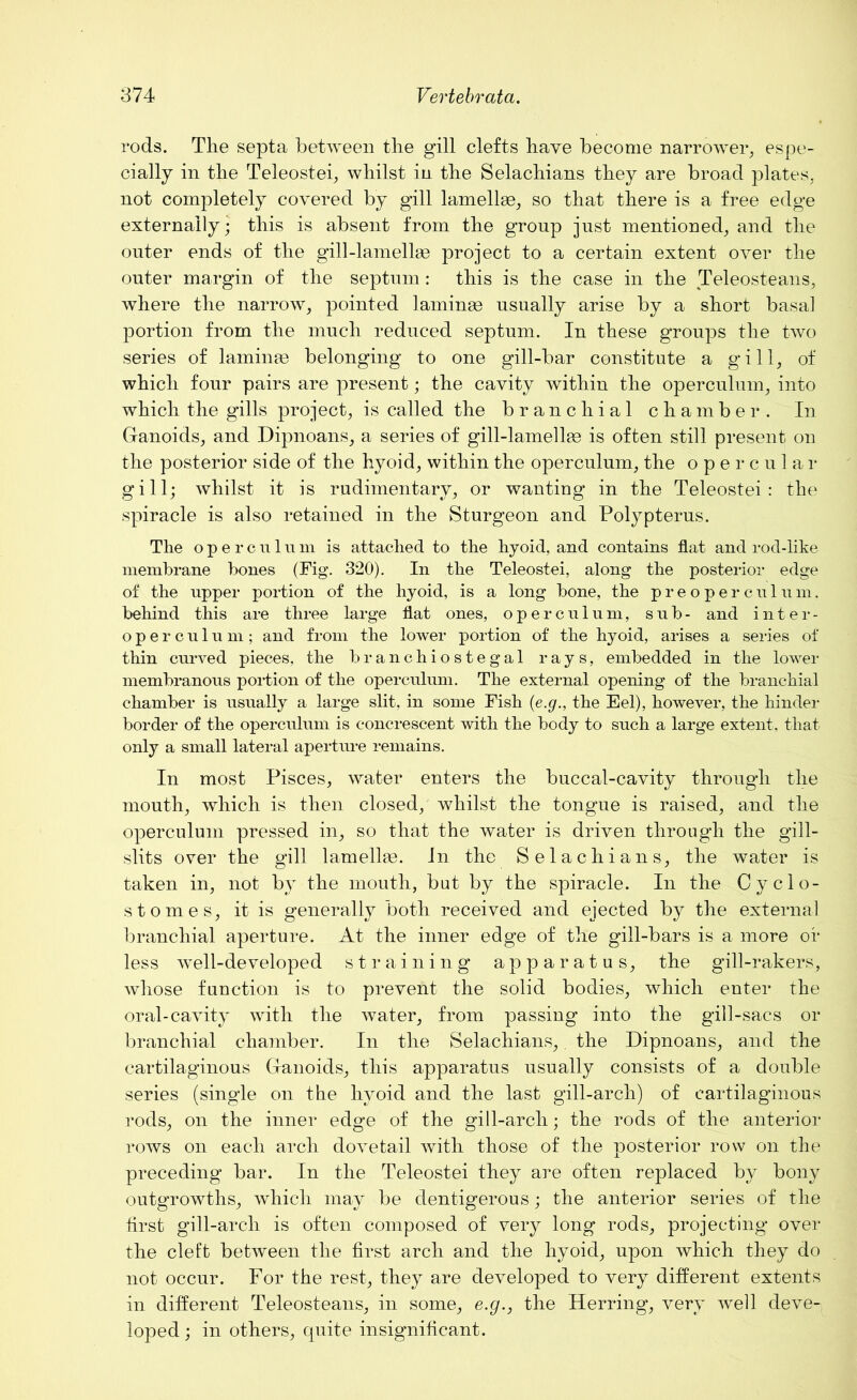 rods. The septa between the gill clefts have become narrower, espe- cially in the Teleostei, whilst in the Selachians they are broad plates, not completely covered by gill lamellae, so that there is a free edge externally; this is absent from the group just mentioned, and the outer ends of the gill-lamellae project to a certain extent over the outer margin of the septum: this is the case in the Teleosteans, where the narrow, pointed laminae usually arise by a short basal portion from the much reduced septum. In these groups the two series of laminae belonging to one gill-bar constitute a gill, of which four pairs are present; the cavity within the operculum, into which the gills project, is called the branchial chamber. In Ganoids, and Dipnoans, a series of gill-lamellae is often still present on the posterior side of the hyoid, within the operculum, the opercular gill; whilst it is rudimentary, or wanting in the Teleostei : the spiracle is also retained in the Sturgeon and Polypterus. The operculum is attached to the hyoid, and contains flat and rod-like membrane bones (Fig. 320). In the Teleostei, along the posterior edge of the upper portion of the hyoid, is a long bone, the preoperculum, behind this are three large flat ones, operculum, sub- and inter- operculum; and from the lower portion of the hyoid, arises a series of thin curved pieces, the branchiostegal rays, embedded in the lower membranous portion of the operculum. The external opening of the branchial chamber is usually a large slit, in some Fish (e.g., the Eel), however, the hinder border of the operculum is concrescent with the body to such a large extent, that only a small lateral aperture remains. In most Pisces, water enters the buccal-cavity tbrougli tlie mouth, which is then closed, whilst the tongue is raised, and the operculum pressed in, so that the water is driven through the gill- slits over the gill lamellae, in the Selachians, the water is taken in, not by the mouth, but by the spiracle. In the C y do- st omes, it is generally both received and ejected by the external branchial aperture. At the inner edge of the gill-bars is a more or less well-developed straining apparatus, the gill-rakers, whose function is to prevent the solid bodies, which enter the oral-cavity with the water, from passing into the gill-sacs or branchial chamber. In the Selachians, the Dipnoans, and the cartilaginous Ganoids, this apparatus usually consists of a double series (single on the hyoid and the last gill-arch) of cartilaginous rods, on the inner edge of the gill-arch; the rods of the anterior rows on each arch dovetail with those of the posterior row on the preceding bar. In the Teleostei they are often replaced by bony outgrowths, which may be dentigerous; the anterior series of the first gill-arch is often composed of very long rods, projecting over the cleft between the first arch and the hyoid, upon which they do not occur. For the rest, they are developed to very different extents in different Teleosteans, in some, e.g., the Herring, very well deve- loped ; in others, quite insignificant.