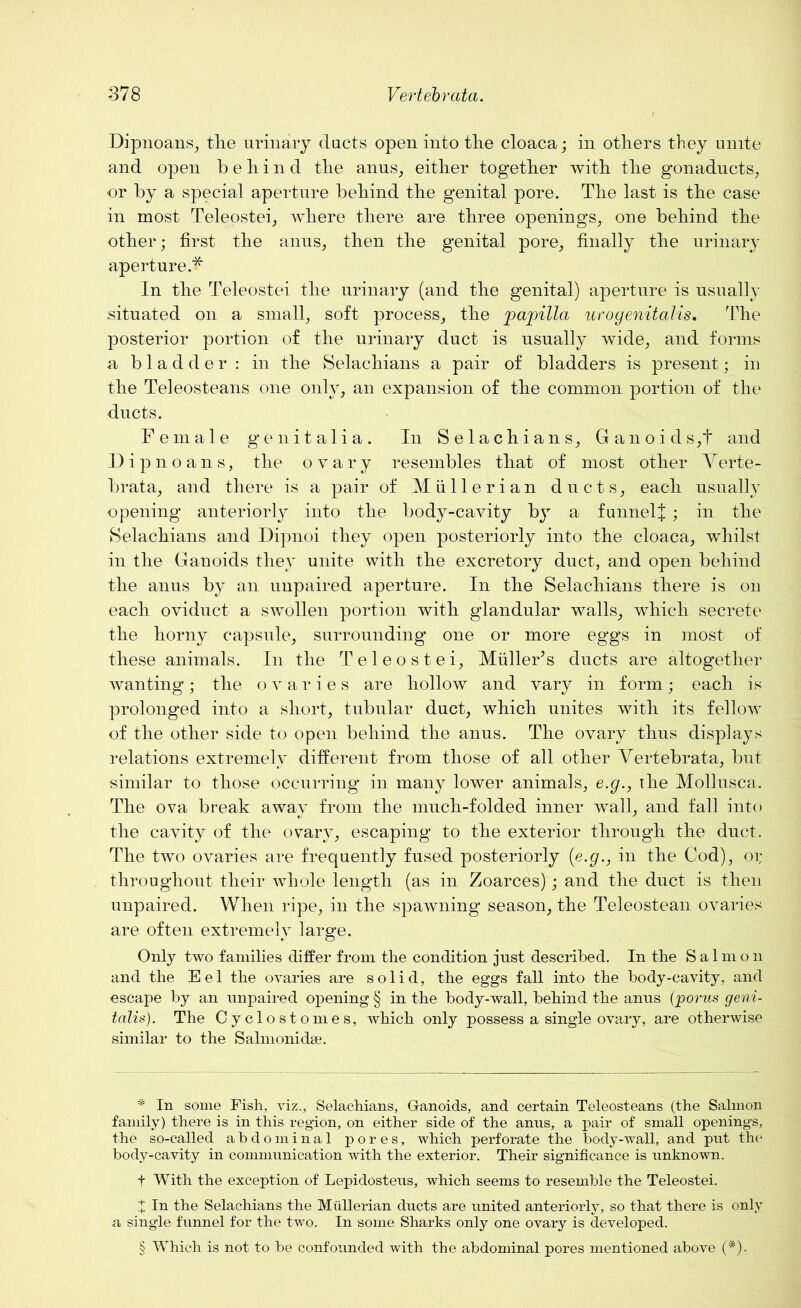 Dipnoans, the urinary ducts open into the cloaca; in others they unite and open behind the anus, either together with the gonaducts, or by a special aperture behind the genital pore. The last is the case in most Teleostei, where there are three openings,, one behind the other; first the anus, then the genital pore, finally the urinary aperture.* In the Teleostei the urinary (and the genital) aperture is usually situated on a small, soft process, the papilla uvogenitalis, The posterior portion of the urinary duct is usually wide, and forms a bladder: in the Selachians a pair of bladders is present; in the Teleosteans one only, an expansion of the common portion of the ducts. Female genitalia. In Selachians, Ganoids,t and Dipnoans, the ovary resembles that of most other Verte- brata, and there is a pair of Mullerian ducts, each usually opening anteriorly into the body-cavity by a funnelj ; in the Selachians and Dipnoi they open posteriorly into the cloaca, whilst in the Ganoids they unite with the excretory duct, and open behind the anus by an unpaired aperture. In the Selachians there is on each oviduct a swollen portion with glandular walls, which secrete the horny capsule, surrounding one or more eggs in most of these animals. In the Teleostei, MiillerJs ducts are altogether wanting; the ovaries are hollow and vary in form; each is prolonged into a short, tubular duct, which unites with its fellow of the other side to open behind the anus. The ovary thus displays relations extremely different from those of all other Vertebrata, but similar to those occurring in many lower animals, e.g., the Mollusca. The ova break away from the much-folded inner wall, and fall into the cavity of the ovary, escaping to the exterior through the duct. The two ovaries are frequently fused posteriorly [e.g., in the Cod), 01; throughout their whole length (as in Zoarces); and the duct is then unpaired. When ripe, in the spawning season, the Teleostean ovaries are often extremely large. Only two families differ from the condition just described. In the Salmon and the Eel the ovaries are solid, the eggs fall into the body-cavity, and escape by an unpaired opening § in the body-wall, behind the anns (porus geni- talis). The Cyclostomes, which only possess a single ovary, are otherwise similar to the Salmonidse. * In some Fish, viz.. Selachians, Ganoids, and certain Teleosteans (the Salmon family) there is in this region, on either side of the anus, a pair of small openings, the so-called abdominal pores, which perforate the body-wall, and put the body-cavity in communication with the exterior. Their significance is unknown. f With the exception of Lepidosteus, which seems to resemble the Teleostei. X In the Selachians the Mullerian ducts are united anteriorly, so that there is only a single funnel for the two. In some Sharks only one ovary is developed. § Which is not to be confounded with the abdominal pores mentioned above (*)•.