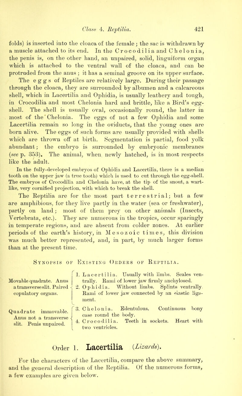folds) is inserted into the cloaca of the female ; the sac is withdrawn by a muscle attached to its end. In the Crocodilia and Chelonia, the penis is, on the other hand, an unpaired, solid, linguif'orm organ which is attached to the ventral wall of the cloaca, and can be protruded from the anus ; it has a seminal groove on its upper surface. The eggs of Reptiles are relatively large. During their passage through the cloaca, they are surrounded by albumen and a calcareous shell, which in Lacertilia and Ophidia, is usually leathery and tough, in Crocodilia and most Chelonia hard and brittle, like a Bird’s egg- shell . The shell is usually oval, occasionally round, the latter in most of the' Chelonia . The eggs of not a few Ophidia and some Lacertilia remain so long in the oviducts, that the young ones are born alive. The eggs of such forms are usually provided with shells which are thrown off at birth. Segmentation is partial, food yolk abundant; the embryo is surrounded by embryonic membranes (see p. 353). The animal, when newly hatched, is in most respects like the adult. In the fully-developed embryos of Ophidia and Lacertilia, there is a median tooth on the upper jaw (a true tooth) which is used to cut through the egg-shell. The embryos of Crocodilia and Chelonia have, at the tip of the snout, a wart- like, very cornified projection, with which to break the shell. The Reptilia are for the most part terrestrial; but a few are amphibious, for they live partly in the water (sea or freshwater), partly on land • most of them prey on other animals (Insects, Yertebrata, etc.). They are numerous in the tropics, occur sparingly in temperate regions, and are absent from colder zones. At earlier periods of the earth’s history, in Mesozoic times, this division was much better represented, and, in part, by much larger forms than at the present time. Synopsis op Existing Orders op Reptilia. Movable quadrate. Anus a transverse slit. Paired copulatory organs. A. j 2. Quadrate immovable. Anus not a transverse slit. Penis unpaired. I r 3. i Lacertilia. Usually with limbs. Scales ven- trally. Rami of lower jaw firmly anchylosed. Ophidia. Without limbs. Splints ventrally Rami of lower jaw connected by an elastic liga- ment. Chelonia. Edentulous. Continuous bony case round the body. Crocodilia. Teeth in sockets. Heart with two ventricles. Order 1. Lacertilia {Lizards). For the characters of the Lacertilia, compare the above summary, and the general description of the Reptilia. Of the numerous forms, a few examples are given below.