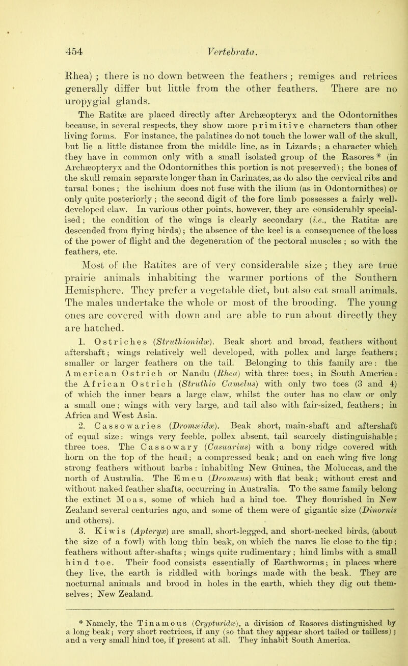 Rhea) ; there is no down between the feathers; remiges and retrices generally differ but little from the other feathers. There are no uropygial glands. The Ratitae are placed directly after Archaeopteryx and the Odontornithes because, in several respects, they show more primitive characters than other living forms. For instance, the palatines do not touch the lower wall of the skull, but lie a little distance from the middle line, as in Lizards; a character which they have in common only with a small isolated group of the Rasores # (in Archaeopteryx and the Odontornithes this portion is not preserved); the bones of the skull remain separate longer than in Carinates, as do also the cervical ribs and tarsal bones ; the ischium does not fuse with the ilium (as in Odontornithes) or only quite posteriorly; the second digit of the fore limb possesses a fairly well- developed claw. In various other points, however, they are considerably special- ised ; the condition of the wings is clearly secondary (i.e., the Ratitae are descended from flying birds); the absence of the keel is a consequence of the loss of the power of flight and the degeneration of the pectoral muscles ; so with the feathers, etc. Most of tlie Ratites are of very considerable size; they are true prairie animals inhabiting the warmer portions of the Southern Hemisphere. They prefer a vegetable diet, but also eat small animals. The males undertake the whole or most of the brooding. The young ones are covered with down and are able to run about directly they are hatched. 1. Ostriches (Struthionidx). Beak short and broad, feathers without aftershaft; wings relatively well developed, with pollex and large feathers; smaller or larger feathers on the tail. Belonging to this family are: the American Ostrich or Nandu (Rhea) with three toes; in South America: the African Ostrich (Struthio Camelus) with only two toes (3 and 4) of which the inner bears a large claw, whilst the outer has no claw or only a small one ; wings with very large, and tail also with fair-sized, feathers; in Africa and West Asia. 2. Cassowaries (Dromxidse). Beak short, main-shaft and aftershaft of equal size: wings very feeble, pollex absent, tail scarcely distinguishable; three toes. The Cassowary (Casuarius) with a bony ridge covered with horn on the top of the head; a compressed beak; and on each wing five long strong feathers without barbs : inhabiting New Guinea, the Moluccas, and the north of Australia. The Emeu (Dromxus) with flat beak; without crest and without naked feather shafts, occurring in Australia. To the same family belong the extinct Moas, some of which had a hind toe. They flourished in New Zealand several centuries ago, and some of them were of gigantic size (Dinornis and others). 3. Kiwis (Apteryx) are small, short-legged, and short-necked birds, (about the size of a fowl) with long thin beak, on which the nares lie close to the tip; feathers without after-shafts ; wings quite rudimentary; hind limbs with a small hind toe. Their food consists essentially of Earthworms; in places where they live, the earth is riddled with borings made with the beak. They are nocturnal animals and brood in holes in the earth, which they dig out them- selves ; New Zealand. * Namely, the Tinamous (Crypturidx), a division of Rasores distinguished by a long beak; very short rectrices, if any (so that they appear short tailed or tailless); and a very small hind toe, if present at all. They inhabit South America.