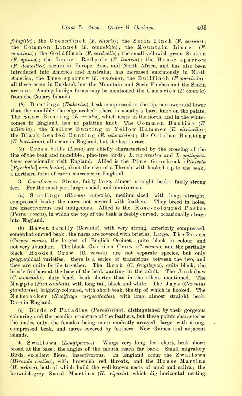 fringilla); the Greenfinch (F. chloris); the Serin Finch (F. serinus); the Common Linnet (F. cannabinta); the Mountain Linnet (F. montium); the Goldfinch (F. carduelis); the small yellowish-green Siskin (F. spinus); the Lesser R e d p o 1 e (F. linaria); the House sparrow (Ft domestica) occurs in Europe, Asia, and North Africa, and has also been introduced into America and Australia; has increased enormously in North America; the Tree sparrow (L montana); the Bullfinch (F. pyrrhula) : all these occur in England, but the Mountain and Serin Finches and the Siskin are rare. Among foreign forms may be mentioned the Canaries (F. canaria) from the Canary Islands. (b) Buntings (Emberiza), beak compressed at the tip, narrower and lower than the mandible, the edge arched ; there is usually a hard knob on the palate. The Snow Bunting (F. nivalis), which nests in the north, and in the winter comes to England, has no palatine knob. The Common Bunting (F. miliaria) ; the Yellow Bunting or Yellow Hammer (F. citrinella); the Black-headed Bunting (F. schceniclus); the Ortolan Bunting (E. hortulana), all occur in England, but the last is rare. (c) Cross bills (Loxia) are chiefly characterised by the crossing of the tips of the beak and mandible; pine-tree birds : L. curvirostra and L. pytiopsit- tacus occasionally visit England. Allied is the Pine Grosbeak (Pinicola [Pyrrhula'] enucleator), about the size of a Thrush, with hooked tip to the beak; a northern form of rare occurrence in England. 3. Corviformes. Strong, fairly large, almost straight beak; fairly strong feet. For the most part large, social, and omnivorous. (a) Starlings (Sturnus vulgaris), medium-sized, with long, straight, compressed beak; the nares not covered with feathers. They breed in holes, are insectivorous and indigenous. Allied is the Rose-coloured Pastor (Pastor roseus), in which the top of the beak is feebly curved; occasionally strays into England. (b) Raven family (Corvidx), with very strong, anteriorly compressed, somewhat curved beak ; the nares are covered with bristles. Large. The Raven (Corvus corax), the largest of English Oscines, quite black in colour and not very abundant. The black Carrion Crow (C. corone), and the partially black Hooded Crow (C. cornix) are not separate species, but only geographical varieties; there is a series of transitions between the two, and they are quite fertile together. The Rook (C. frugilegus), quite black, the bristle feathers at the base of the beak wanting in the adult. The Jackdaw (0. monedula), slaty black, beak shorter than in the others mentioned. The Magpie (Pica caudata), with long tail, black and white. The Jays (Garrulus glandarius), brightly-coloured, with short beak, the tip of which is hooked. The Nutcracker (Nucifraga caryocatactes), with long, almost straight beak. Rare in England. (c) Birds of Paradise (Paradiseidx), distinguished by their gorgeous colouring and the peculiar structure of the feathers, but these points characterise tbe males only, the females being more modestly arrayed; large, with strong, compressed beak, and nares covered by feathers; New Guinea and adjacent islands. 4. Swallows (Longipennes). Wings very long, feet short, beak short; broad at the base; the angles of the mouth reach far back. Small migratory Birds, excellent fliers; insectivorous. In England occur the Swallows (Hirundo rustica), with brownish red throats, and the House Martins (H. urbica), both of which build the well-known nests of mud and saliva; the brownish-grey Sand Martins (H. riparia), which dig horizontal nesting