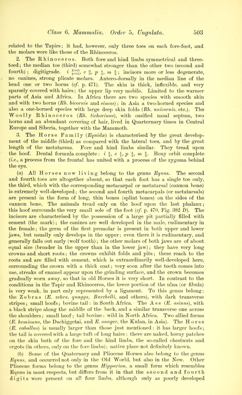 related to the Tapirs; it had, however, only three toes on each fore-foot, and the molars were like those of the Rhinoceros. 2. The Rhinoceros. Both fore and hind limbs symmetrical and three- toed ; the median toe (third) somewhat stronger than the other two (second and fourth) ; digitigrade. i fEEf, c §, p f, m f; incisors more or less degenerate, no canines, strong plicate molars. Antero-dorsally in the median line of the head one or two horns (c/. p. 471). The skin is thick, inflexible, and very sparsely covered with hairs; the upper lip very mobile. Limited to the warmer parts of Asia and Africa. In Africa there are two species with smooth skin and with two horns (Rh. bicornis and simus); in Asia a two-horned species and also a one-horned species with large deep skin folds (Rh. unicornis, etc.). The Woolly Rhinoceros (Rh. tichorinus), with ossified nasal septum, two horns and an abundant covering of hair, lived in Quarternary times in Central Europe and Siberia, together with the Mammoth. 3. The Horse Family (Equidx) is characterised by the great develop- ment of the middle (third) as compared with the lateral toes, and by the great length of the metatarsus. Fore and hind limbs similar. They tread upon the hoof. Dental formula complete : i f, c p -£, m f. Bony orbit complete (i.e., a process from the frontal has united with a process of the zygoma behind the eye. (a) All Horses now living belong to the genus Equus. The second and fourth toes are altogether absent, so that each foot has a single toe only, the third, which with the corresponding metacarpal or metatarsal (cannon bone) is extremely well-developed; the second and fourth metacarpals (or metatarsals) are present in the form of long, thin bones (splint bones) on the sides of the cannon bone. The animals tread only on the hoof upon the last phalanx; this hoof surrounds the very small sole of the foot (cf. p. 470, Fig. 382 _D). The incisors are characterised by the possession of a large pit partially filled with cement (the mark); the canines are well developed in the male, rudimentary in the female; the germ of the first premolar is present in both upper and lower jaws, but usually only develops in the upper; even there it is rudimentary, and generally falls out early (wolf tooth); the other molars of both jaws are of about equal size (broader in the upper than in the lower jaw); they have very long crowns and short roots; the crowns exhibit folds and pits; these reach to the roots and are filled with cement, which is extraordinarily well-developed here, surrounding the crown with a thick coat; very soon after the tooth comes into use, streaks of enamel appear upon the grinding surface, and the crown becomes gradually worn away, so that in old Horses it is very short. In contrast to the conditions in the Tapir and Rhinoceros, the lower portion of the ulna (or fibula) is very weak, in part only represented by a ligament. To this genus belong: the Zebras (E. zebra, quagga, Burchelli, and others), with dark transverse stripes; small hoofs ; bovine tail: in South Africa. The Ass (E. asinus), with a black stripe along the middle of the back, and a similar transverse one across the shoulders; small hoof ; tail bovine : wild in North Africa. Two allied forms (E. hemionus, the Dschiggetai, and E. onager, the Kulan, in Asia). The Horse (E. caballus) is usually larger than those just mentioned : it has larger hoofs; the tail is covered with a large tuft of long hairs : there are naked, horny patches on the skin both of the fore and the hind limbs, the so-called chestnuts and ergots (in others, only on the fore limbs); native place not definitely known. (b) Some of the Quaternary and Pliocene Horses also belong to the genus Equus, and occurred not only in the Old World, but also in the New. Other Pliocene forms belong to the genus Hipparion, a small form which resembles Equus in most respects, but differs from it in that the second and fourth digits were present on all four limbs, although only as poorly developed