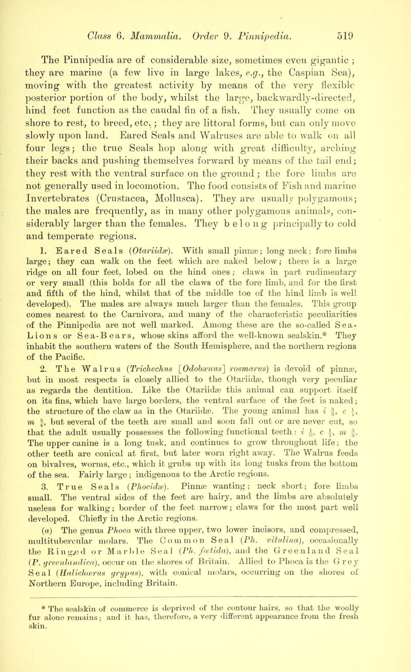 The Pinnipedia are of considerable size, sometimes even gigantic ; they are marine (a few live in large lakes, e.g., the Caspian Sea), moving with the greatest activity by means of the very flexible posterior portion of the body, whilst the large, backwardly-directed, hind feet function as the caudal fin of a fish. They usually come on shore to rest, to breed, etc.; they are littoral forms, but can only move slowly upon land. Bared Seals and Walruses are able to walk on all four legs; the true Seals hop along with great difficulty, arching their backs and pushing themselves forward by means of the tail end; they rest with the ventral surface on the ground; the fore limbs are not generally used in locomotion. The food consists of Fish and marine Invertebrates (Crustacea, Mollusca). They are usually polygamous; the males are frequently, as in many other polygamous animals, con- siderably larger than the females. They b e 1 o n g principally to cold and temperate regions. 1. Eared Seals (Otariidae). With small pinnae; long neck; fore limbs large; they can walk on the feet which are naked below; there is a large ridge on all four feet, lobed on the hind ones; claws in part rudimentary or very small (this holds for all the claws of the fore limb, and for the first and fifth of the hind, whilst that of the middle toe of the hind limb is well developed). The males are always much larger than the females. This group comes nearest to the Carnivora, and many of the characteristic peculiarities of the Pinnipedia are not well marked. Among these are the so-called Sea- Lions or Sea-Bears, whose skins afford the well-known sealskin.* They inhabit the southern waters of the South Hemisphere, and the northern regions of the Pacific. 2. The Walrus (Trichechus \_Odobaenus~\ rosmarus) is devoid of pinnae, but in most respects is closely allied to the Otariidae, though very peculiar as regards the dentition. Like the Otariidae this animal can support itself on its fins, which have large borders, the ventral surface of the feet is naked; the structure of the claw as in the Otariidae. The young animal has i f, c p, m f, but several of the teeth are small and soon fall out or are never cut, so that the adult usually possesses the following functional teeth: i c m f. The upper canine is a long tusk, and continues to grow throughout life; the other teeth are conical at first, but later worn right away. The Walrus feeds on bivalves, worms, etc., which it grubs up with its long tusks from the bottom of the sea. Fairly large ; indigenous to the Arctic regions. 3. True Seals (Phocidx). Pinnae wanting; neck short; fore limbs small. The ventral sides of the feet are hairy, and the limbs are absolutely useless for walking; border of the feet narrow; claws for the most part well developed. Chiefly in the Arctic regions. (a) The genus Phoca with three upper, two lower incisors, and compressed, multitubercular molars. The Common Seal (Ph. vitulina), occasionally the Ringed or Marble Seal (Ph. fcetida), and the Greenland Seal (P. greenlandica), occur on the shores of Britain. Allied to Phoca is the Grey Seal (Halichoerus yrypus), with conical molars, occurring on the shores of Northern Europe, including Britain. * The sealskin of commerce is deprived of the contour hairs, so that the woolly fur alone remains; and it has, therefore, a very different appearance from the fresh skin.