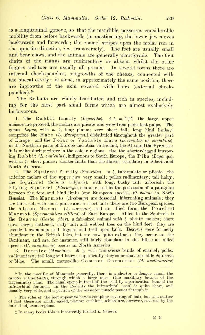 is a longitudinal groove, so that the mandible possesses considerable mobility from before backwards (in masticating, the lower jaw moves backwards and forwards ; the enamel stripes upon the molar run in the opposite direction, i.e., transversely). The feet are usually small and bear claws, and the animals are generally plantigrade. The first digits of the manus are rudimentary or absent, whilst the other fingers and toes are usually all present. In several forms there are internal cheek-pouches, outgrowths of the cheeks, connected with the buccal cavity; in some, in approximately the same position, there are ingrowths of the skin covered with hairs (external cheek- pouches) .* The Rodents are widely distributed and rich in species, includ- ing for the most part small forms which are almost exclusively herbivorous. 1. The Rabbit family (Leporidse). i \, m the large upper incisors are grooved, the molars are plicate and grow from persistent pulps. The genus Lepus, with m f, long pinnae; very short tail; long hind limbs ;f comprises the Hare (L. Ruropxus),X distributed throughout the greater part of Europe: and the Polar or Variable Hare (L. timidus or variabilis), in the Northern parts of Europe and Asia, in Ireland, the Alps and the Pyrenees; it is white during winter in the colder regions : also the shorter-legged burrow- ing Rabbit (L. cuniculus), indigenous to South Europe ; the Pika (Lagomys), with m -f; short pinnae ; shorter limbs than the Hares ; ecaudate; in Siberia and North America. 2. The Squirrel family (Sciuridae). m f, tuberculate or plicate; the anterior molars of the upper jaw very small; pollex rudimentary; tail hairy: the Squirrel (Sciurus vulgaris), with long, bushy tail; arboreal: the Flying Squirrel (Pteromys), characterised by the possession of a patagium between the fore and hind limbs (one European species, Pt. volans, in North Russia). The Marmots (Arctomys) are fossorial, hibernating animals; they are thick-set, with short pinnse and a short tail: there are two European species, the Alpine Marmot (A. marmota), and an allied form, the Pouched Marmot (Spermophilus citillus) of East Europe. Allied to the Squirrels is the Beaver (Castor fiber), a fair-sized animal with f plicate molars; short ears; large, flattened, scaly tail; and webbed toes on the hind feet: they are excellent swimmers and diggers, and feed upon bark. Beavers were formerly abundant in the British Isles, but are now quite extinct; they occur on the Continent, and are, for instance, still fairly abundant in the Elbe : an allied species (C. canadensis) occurs in North America. 3. Dormice (Myoxidx). M f, with transverse bands of enamel; pollex rudimentary; tail long and hairy: superficially, they somewhat resemble Squirrels or Mice. The small, mouse-like Common Dormouse (M. avellanarius) * In the maxillae of Mammals generally, there is a shorter or longer canal, the canalis infraorbitalis, through which a large nerve (the maxillary branch of the trigeminus) runs. The canal opens in front of the orbit by a perforation termed the infraorbital foramen. In the Rodents the infraorbital canal is quite short, and usually very wide, and a portion of the masseter muscle passes through it. f The soles of the feet appear to have a complete covering of hair, but as a matter of fact there are small, naked, plantar cushions, which are, however, covered by the hair of adjacent regions. X In many books this is incorrectly termed L. timidus. M M
