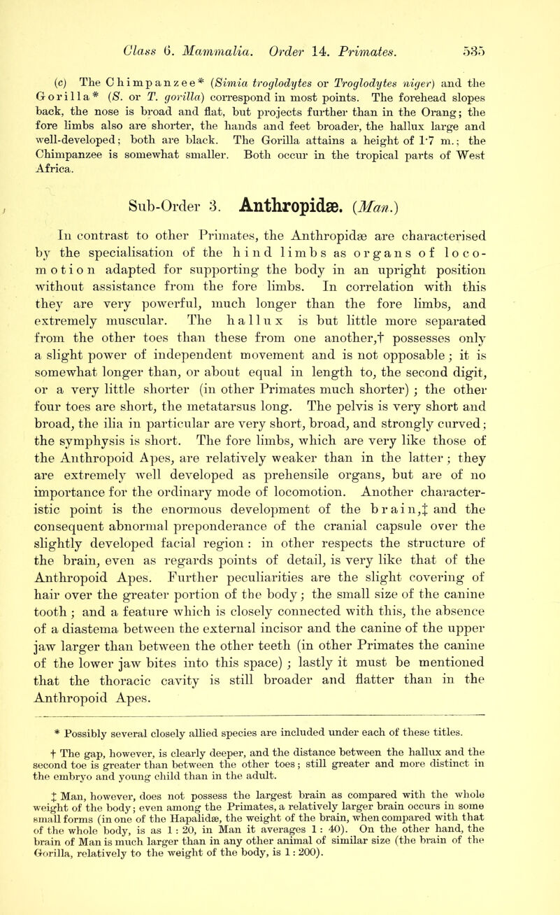 (c) The Chimpanzee* (Simla troglodytes or Troglodytes niger) and the Gorilla* (S. or T. gorilla) correspond in most points. The forehead slopes hack, the nose is broad and flat, but projects further than in the Orang; the fore limbs also are shorter, the hands and feet broader, the hallux large and well-developed; both are black. The Gorilla attains a height of T7 m.; the Chimpanzee is somewhat smaller. Both occur in the tropical parts of West Africa. Sub-Order 3. Anthropidffi. (Man.) Iii contrast to other Primates, the Anthropidae are characterised by the specialisation of the hind limbs as organs of loco- motion adapted for supporting the body in an upright position without assistance from the fore limbs. In correlation with this they are very powerful, much longer than the fore limbs, and extremely muscular. The hallux is but little more separated from the other toes than these from one another,! possesses only a slight power of independent movement and is not opposable; it is somewhat longer than, or about equal in length to, the second digit, or a very little shorter (in other Primates much shorter) ; the other four toes are short, the metatarsus long. The pelvis is very short and broad, the ilia in particular are very short, broad, and strongly curved ; the symphysis is short. The fore limbs, which are very like those of the Anthropoid Apes, are relatively weaker than in the latter; they are extremely well developed as prehensile organs, but are of no importance for the ordinary mode of locomotion. Another character- istic point is the enormous development of the brain,} and the consequent abnormal preponderance of the cranial capsule over the slightly developed facial region : in other respects the structure of the brain, even as regards points of detail, is very like that of the Anthropoid Apes. Further peculiarities are the slight covering of hair over the greater portion of the body; the small size of the canine tooth ; and a feature which is closely connected with this, the absence of a diastema between the external incisor and the canine of the upper jaw larger than between the other teeth (in other Primates the canine of the lower jaw bites into this space) ; lastly it must be mentioned that the thoracic cavity is still broader and flatter than in the Anthropoid Apes. * Possibly several closely allied species are included under each of these titles. f The gap, however, is clearly deeper, and the distance between the hallux and the second toe is greater than between the other toes; still greater and more distinct in the embryo and young child than in the adult. I Man, however, does not possess the largest brain as compared with the whole weight of the body; even among the Primates, a relatively larger brain occurs in some small forms (in one of the Hapalidse, the weight of the brain, when compared with that of the whole body, is as 1: 20, in Man it averages 1: 40). On the other hand, the brain of Man is much larger than in any other animal of similar size (the brain of the Gorilla, relatively to the weight of the body, is 1: 200).