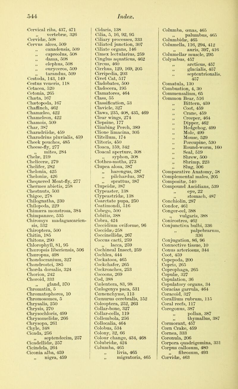 Cervical ribs, 437, 471 „ vertebrae, 326 Cervidae, 508 Cervus aloes, 509 „ canadensis, 509 „ capreolns, 508 „ dama, 508 „ elephns, 508 „ euryceros, 509 „ tarandus, 509 Cestoda, 143, 149 Cestus veneris, 118 Cetacea, 520 Cetonia, 265 Chseta, 167 Chsetopoda, 167 Chaffinch, 462 Chamaeleo, 422 Chameleon, 422 Chamois, 509 Char, 387 Charadriidse, 459 Chara,drius plnvialis, 459 Cheek pouches, 485 Cheese-fly, 277 „ mites, 284 Chelae, 219 Chelicerae, 279 Chelifer, 282 Chelonia, 425 Cheloniae, 426 Chequered Meat-fly, 277 Chermes abietis, 258 Chestnuts, 503 Chigoe, 278 Chilognatha, 230 Chilopoda, 229 Chimaera monstrosa, 384 Chimpanzee, 535 Chiromys madagascarien- sis, 532 Chiroptera, 500 Chitin, 185 Chitons, 290 Chlorophyll, 81, 95 Choeropsis liberiensis, 506 Choeropus, 498 Chondocraninm, 327 Chondrostei, 385 Chorda dorsalis, 324 Chorion, 242 Choroid, 333 „ gland, 370 Chromatin, 5 Chromatophores, 10 Chromosomes, 5 Chrysalis, 250 Chrysis, 270 Chrysochloris, 499 Chrysomelidae, 266 Chrysopa, 261 Chyle, 348 Cicada, 256 „ septendecim, 257 Cicadellidae, 257 Cicindela, 264 Ciconia alba, 459 ,, nigra, 459 Cidaris, 138 Cilia, 5, 16, 92, 95 Ciliary processes, 333 Ciliated junction, 307 Ciliate organs, 146 Cimex lectularius, 259 Cinglus aquaticus, 462 Circus, 460 Cirrhus, 129, 169, 205 Cirripedia, 203 Civet Cat, 517 Cladobates, 500 Cladocera, 195 I Clamatores, 464 ! Class, 55 | Classification, 53 Clavicle, 327 | Claws, 235, 408, 435, 469 Clear wings, 274 Clepsine, 177 Climbing Perch, 389 Clione limacina, 305 | Clitellum, 174 Clitoris, 450 I Cloaca, 159, 342 I Cloacal aperture, 308 „ syphon, 308 j Clothes-moths, 273 | Clupea alosa, 387 „ harengus, 387 „ pilchardus, 387 „ sprattus, 387 Clupeidse, 387 Clypeaster, 138 Clypeastridse, 138 Coarctate pupa, 250 Coatimondi, 516 Cobego, 500 Cobitis, 388 Cobra, 424 Coccidium oviforme, 96 Coccidse,* 258 Coccinellidse, 267 Coccus cacti, 259 „ lacca, 259 Cochineal Insect, 259 Cochlea, 444 Cockatoos, 465 Cockchafer, 265 Cockroaches, 253 Cocoons, 269 Cod, 388 Coelentera, 83, 98 Coelogenys paca, 531 Coenenchyme, 113 Coenurus cerebralis, 152 Coleoptera, 252, 263 Collar-bone, 327 Collar-cells, 119 Collembola, 256 Collocalia, 464 Colobus, 534 Colony, 32, 66 Colour change, 434, 468 Colubridse, 424 Columba, 465 ,, livia, 465 „ migratoria, 465 I Columba, oenas, 465 „ palumbus, 465 Columbidse, 465 Columella, 116, 294, 412 „ auris, 397, 416 Columellar muscle, 295 Colymbus, 457 „ arcticus, 457 „ glacialis, 457 „ septentrionalis, 457 Comatula, 130 Combustion, 4, 30 Commensalism, 65 Common Bear, 516 „ Bittern, 459 „ Coot, 459 „ Crane, 459 „ Creeper, 464 „ Dipper, 462 „ Hedgehog, 499 „ Mole, 499 Mouse, 529 „ Porcupine, 530 „ Round-worm, 160 Seal, 519 „ Shrew, 500 „ Shrimp, 223 „ Slug, 306 Comparative Anatomy, 58 Complemental males, 205 Compositse, 540 Compound Ascidians, 539 „ eye, 22 „ stomach, 487 Conchiolin, 287 Condor, 461 Conger-eel, 388 „ vulgaris, 388 Conirostres, 462 Conjunctiva bulbi, 336 „ palpebrarum, 336 Conjugation, 86, 96 Connective tissue, 10 Conus arteriosus, 344 Coot, 459 Copepoda, 200 Copris, 265 Coprophaga, 265 Copulse, 327 Copulation, 36 Copulatory organs, 34 Coracias garrula, 464 Coracoid, 327 Corallium rubrum, 115 Coral reefs, 117 Coregonus, 387 „ pollan, 387 „ thymallus, 387 Cormorant, 457 Corn Crake, 459 Cornea, 333 Coronula, 206 Corpora quadrigemina, 331 Corpus callosum, 480 „ fibrosum, 493 Corvidae, 463