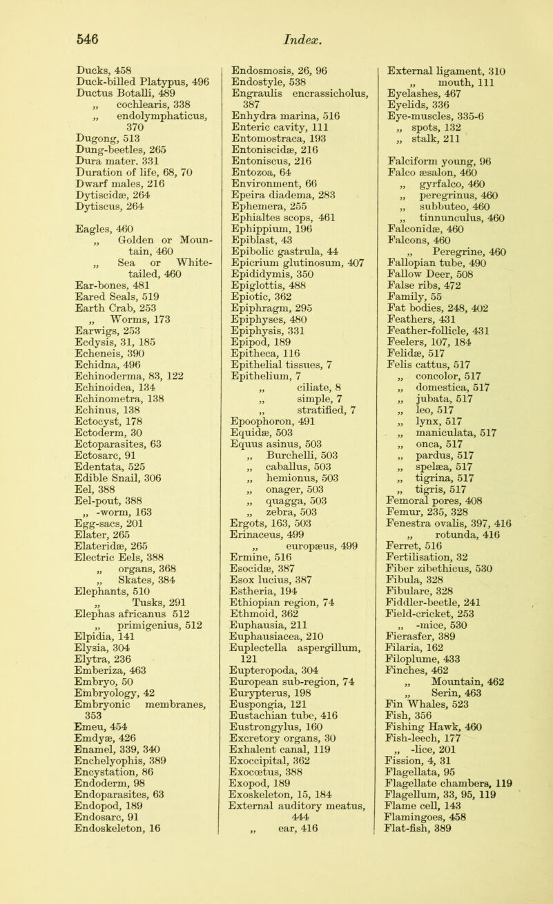 Ducks, 458 Duck-billed Platypus, 496 Ductus Botalli, 489 „ cochlearis, 338 „ endolymphaticus, 370 Dugong, 513 Dung-beetles, 265 Dura mater. 331 Duration of life, 68, 70 Dwarf males, 216 Dytiscidae, 264 Dytiscus, 264 Eagles, 460 „ Golden or Moun- tain, 460 „ Sea or White- tailed, 460 Ear-bones, 481 Eared Seals, 519 Earth Crab, 253 „ Worms, 173 Earwigs, 253 Ecdysis, 31, 185 Echeneis, 390 Echidna, 496 Echinoderma, 83, 122 Echinoidea, 134 Echinometra, 138 Echinus, 138 Ectocyst, 178 Ectoderm, 30 Ectoparasites, 63 Ectosarc, 91 Edentata, 525 Edible Snail, 306 Eel, 388 Eel-pout, 388 „ -worm, 163 Egg-sacs, 201 Elater, 265 Elateridae, 265 Electric Eels, 388 „ organs, 368 „ Skates, 384 Elephants, 510 „ Tusks, 291 Elephas africanus 512 „ primigenius, 512 Elpidia, 141 Elysia, 304 Elytra, 236 Emberiza, 463 Embryo, 50 Embryology, 42 Embryonic membranes, 353 Emeu, 454 Emdyae, 426 Enamel, 339, 340 Enchelyophis, 389 Encystation, 86 Endoderm, 98 Endoparasites, 63 Endopod, 189 Endosarc, 91 Endoskeleton, 16 Endosmosis, 26, 96 Endostyle, 538 Engraulis encrassicholus, 387 Enhydra marina, 516 Enteric cavity, 111 Entomostraca, 193 Entoniscidae, 216 Entoniscus, 216 Entozoa, 64 Environment, 66 Epeira diadema, 283 Ephemera, 255 Ephialtes scops, 461 Ephippium, 196 Epiblast, 43 Epibolic gastrula, 44 Epicrium glutinosum, 407 Epididymis, 350 Epiglottis, 488 Epiotic, 362 Epiphragm, 295 Epiphyses, 480 Epiphysis, 331 Epipod, 189 Epitheca, 116 Epithelial tissues, 7 Epithelium, 7 „ ciliate, 8 „ simple, 7 „ stratified, 7 Epoophoron, 491 Equidae, 503 Equus asinus, 503 „ Burchelli, 503 „ caballus, 503 „ hemionus, 503 „ onager, 503 „ quagga, 503 „ zebra, 503 Ergots, 163, 503 Erinaceus, 499 „ europaeus, 499 Ermine, 516 Esocidae, 387 Esox lucius, 387 Estheria, 194 Ethiopian region, 74 Ethmoid, 362 Euphausia, 211 Euphausiacea, 210 Euplectella aspergillum, 121 Eupteropoda, 304 European suit-region, 74 Eurypterus, 198 Euspongia, 121 Eustachian tube, 416 Eustrongylus, 160 Excretory organs, 30 Exhalent canal, 119 Exoccipital, 362 Exoccetus, 388 Exopod, 189 Exoskeleton, 15, 184 External auditory meatus, 444 „ ear, 416 External ligament, 310 „ mouth. 111 Eyelashes, 467 Eyelids, 336 Eye-muscles, 335-6 „ spots, 132 „ stalk, 211 Falciform young, 96 Falco aesalon, 460 „ gyrfalco, 460 „ peregrinus, 460 „ subbuteo, 460 „ tinnunculus, 460 Falconidae, 460 Falcons, 460 „ Peregrine, 460 Fallopian tube, 490 Fallow Deer, 508 False ribs, 472 Family, 55 Fat bodies, 248, 402 Feathers, 431 Feather-follicle, 431 Feelers, 107, 184 Felidae, 517 Felis cattus, 517 „ concolor, 517 „ domestica, 517 „ jubata, 517 „ leo, 517 „ lynx, 517 „ maniculata, 517 „ onca, 517 „ pardus, 517 „ spelaea, 517 „ tigrina, 517 „ tigris, 517 Femoral pores, 408 Femur, 235, 328 Fenestra ovalis, 397, 416 „ rotunda, 416 Ferret, 516 Fertilisation, 32 Fiber zibethicus, 530 Fibula, 328 Fibulare, 328 Fiddler-beetle, 241 Field-cricket, 253 „ -mice, 530 Fierasfer, 389 Filaria, 162 Filoplume, 433 Finches, 462 „ Mountain, 462 „ Serin, 463 Fin Whales, 523 Fish, 356 Fishing Hawk, 460 Fish-leech, 177 „ -lice, 201 Fission, 4, 31 Flagellata, 95 Flagellate chambers, 119 Flagellum, 33, 95, 119 Flame cell, 143 Flamingoes, 458 Flat-fish, 389